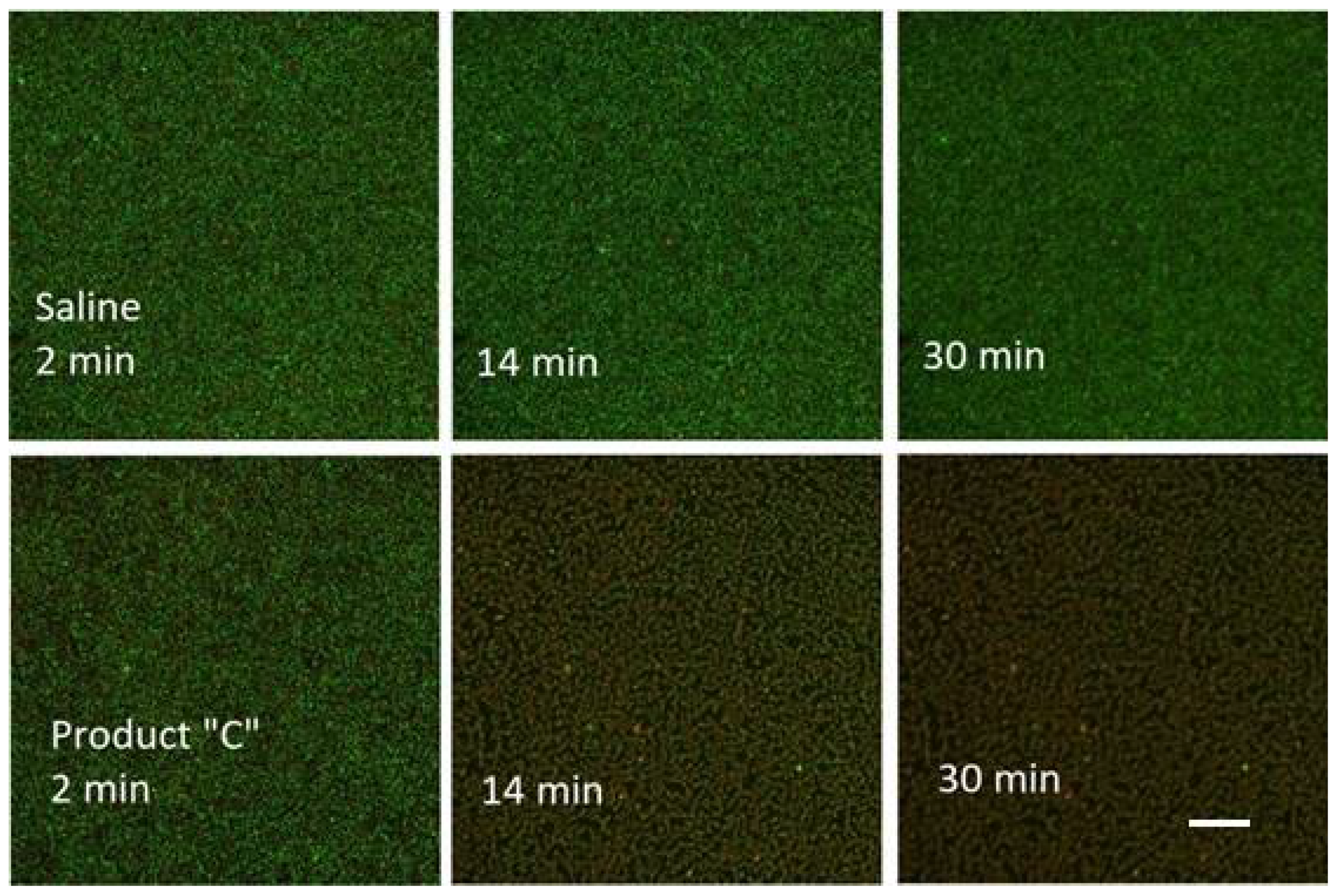 Microorganisms 08 01837 g005