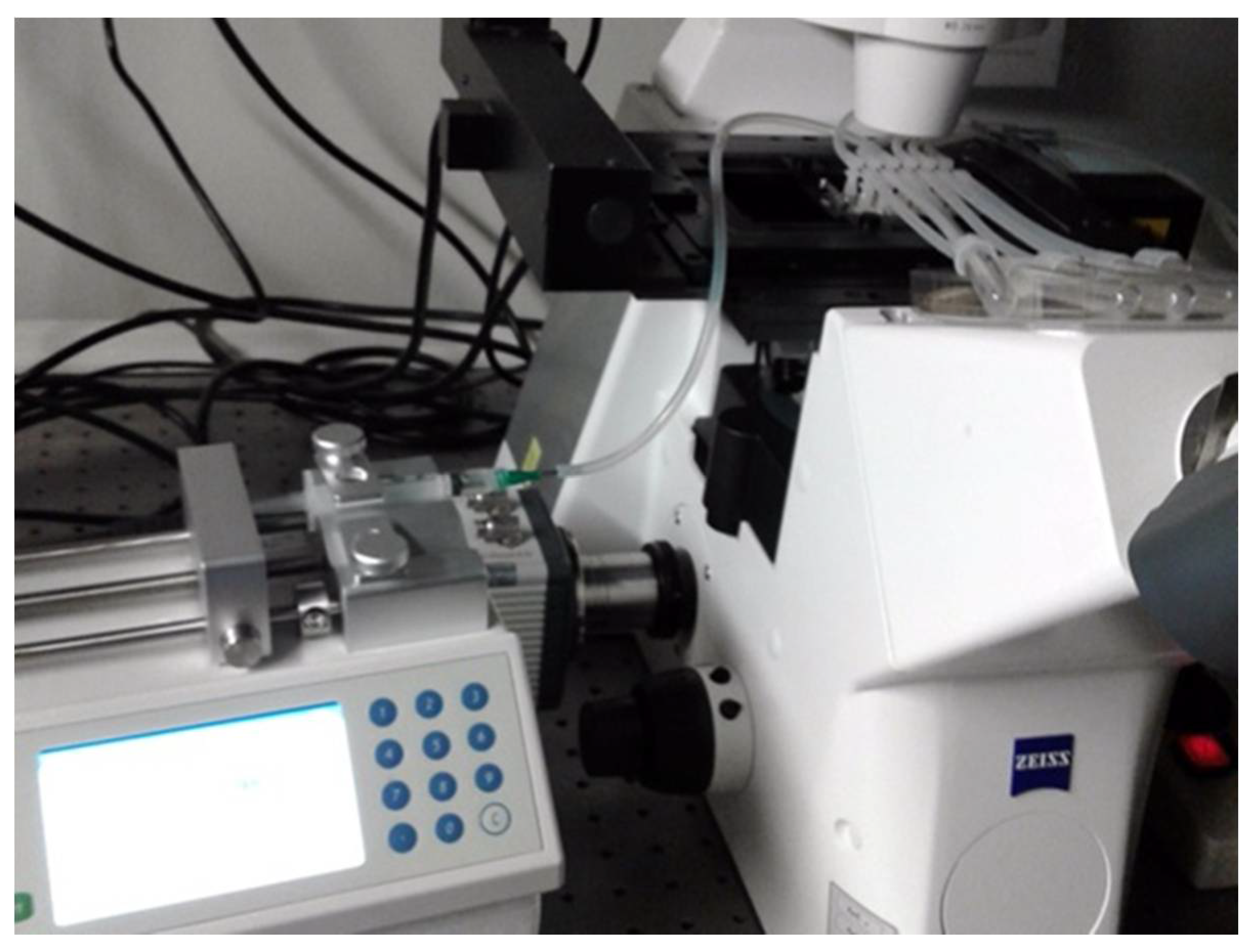 Microorganisms 08 01837 g008