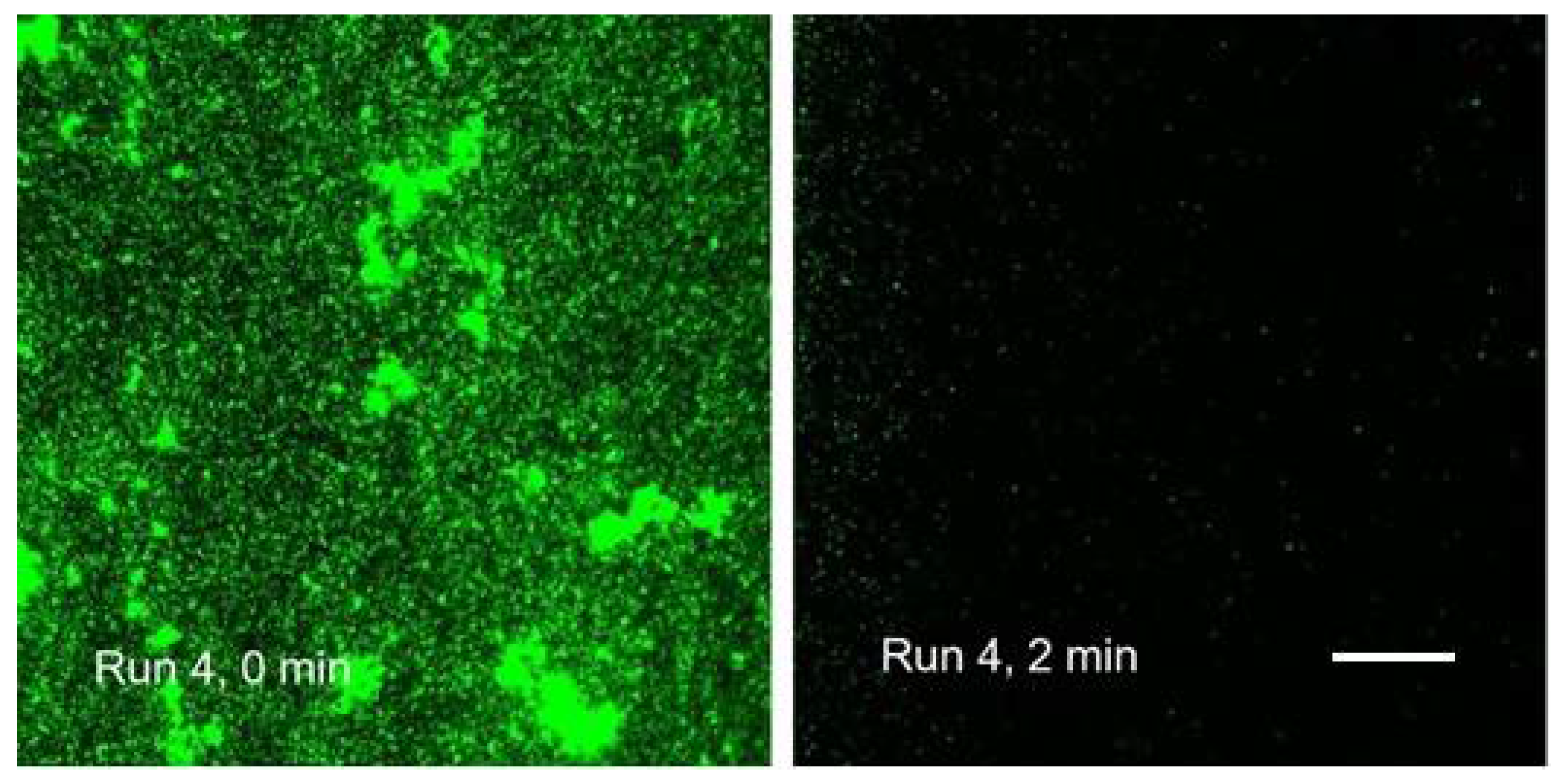 Microorganisms 08 01837 g011