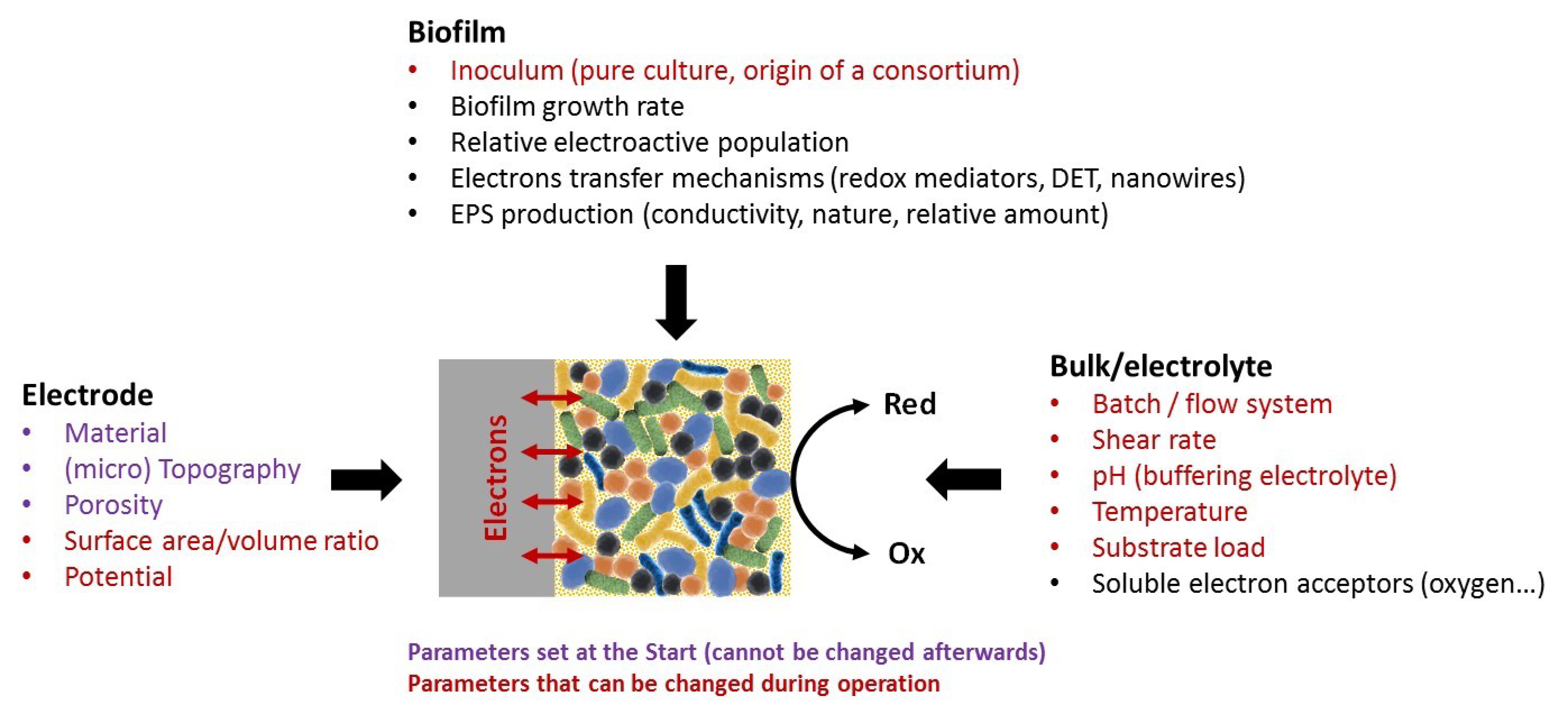 Microorganisms 08 01841 g002