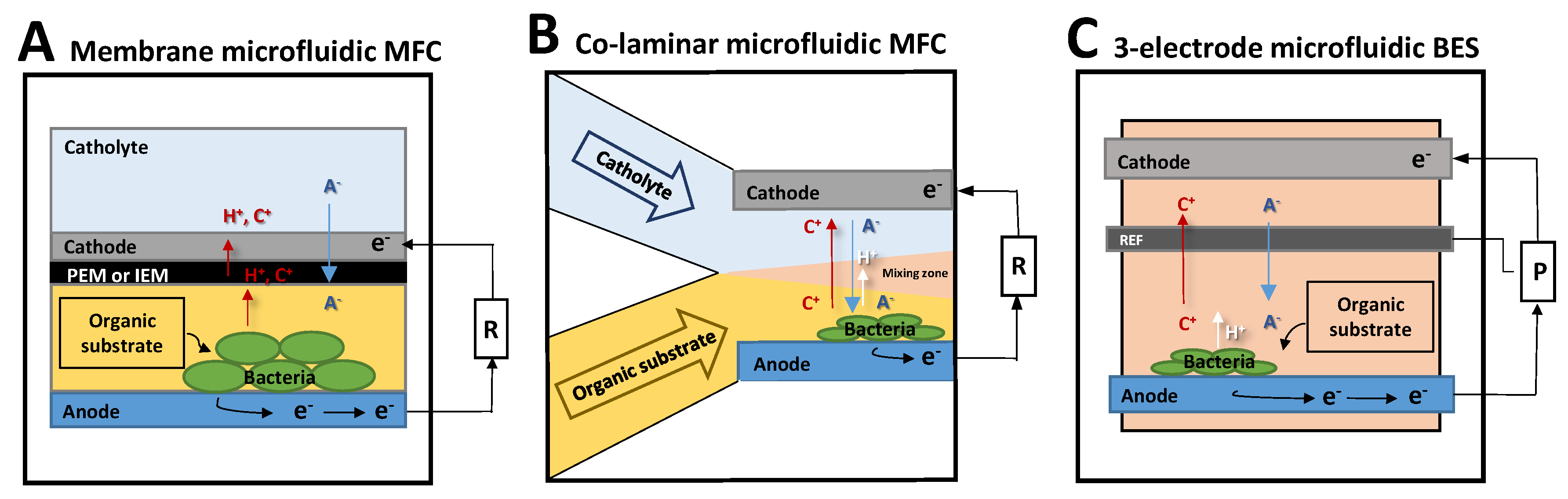 Microorganisms 08 01841 g004