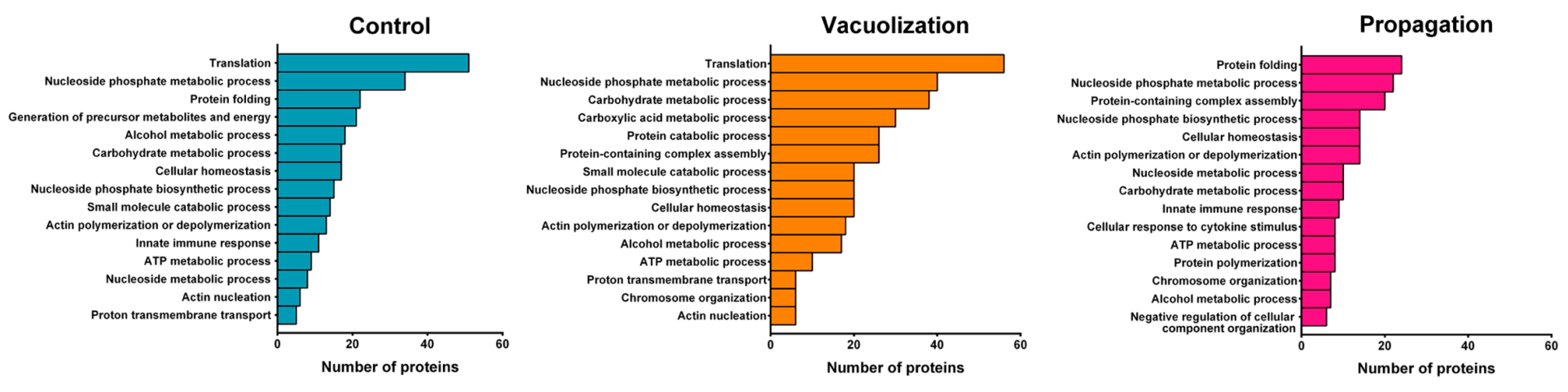 Microorganisms 08 01845 g004