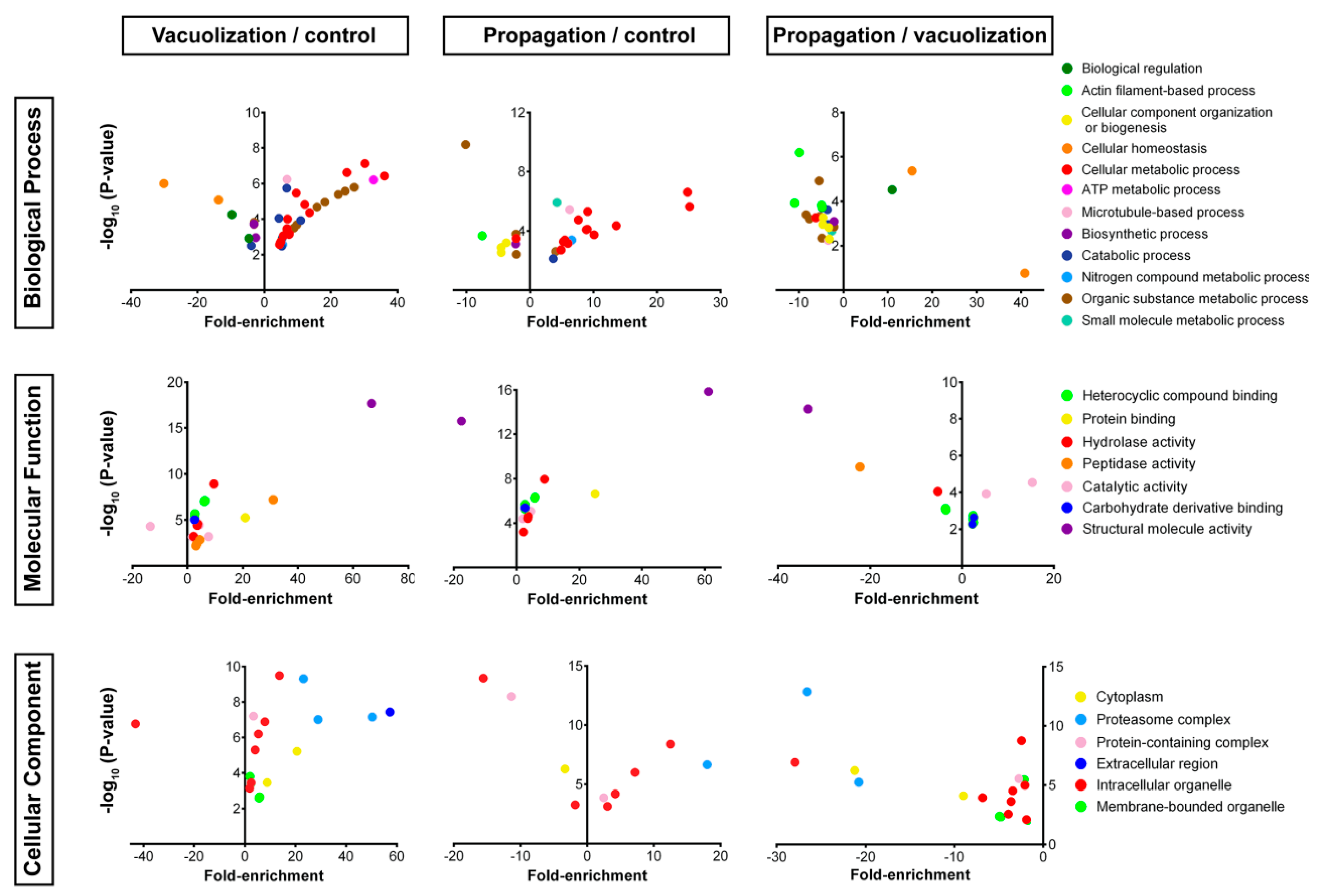 Microorganisms 08 01845 g005