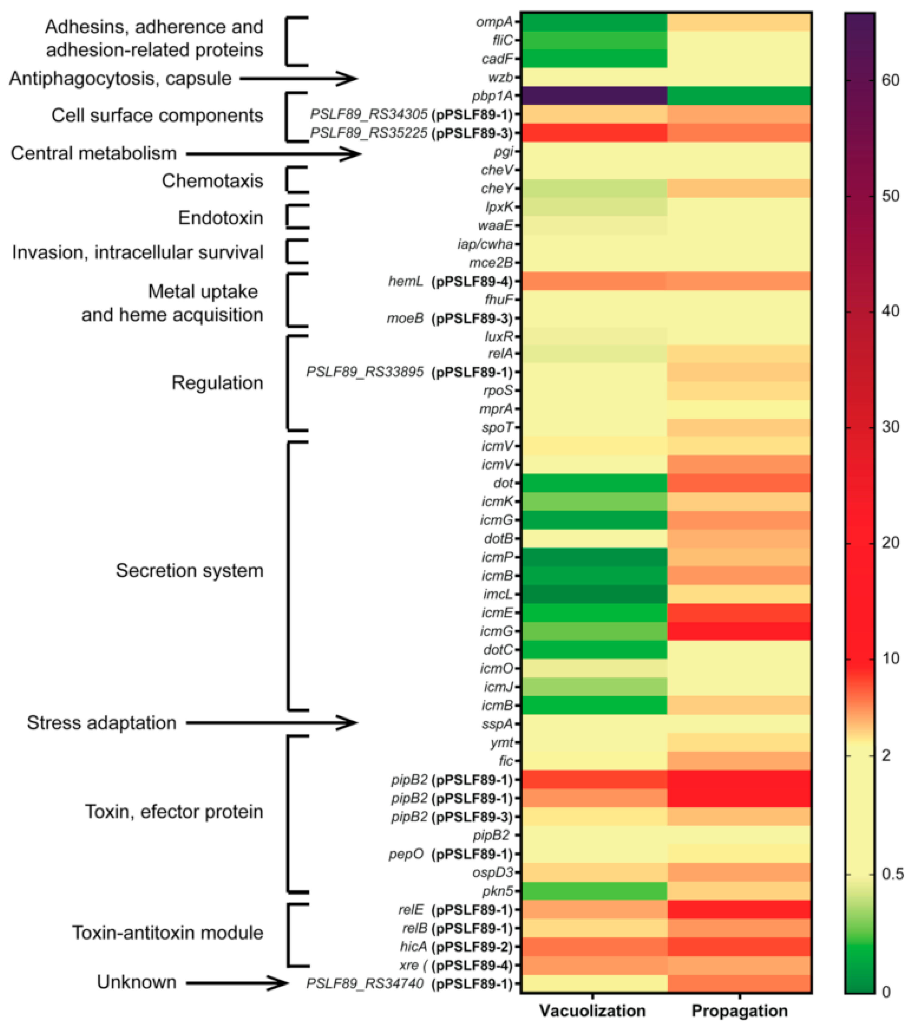 Microorganisms 08 01845 g007