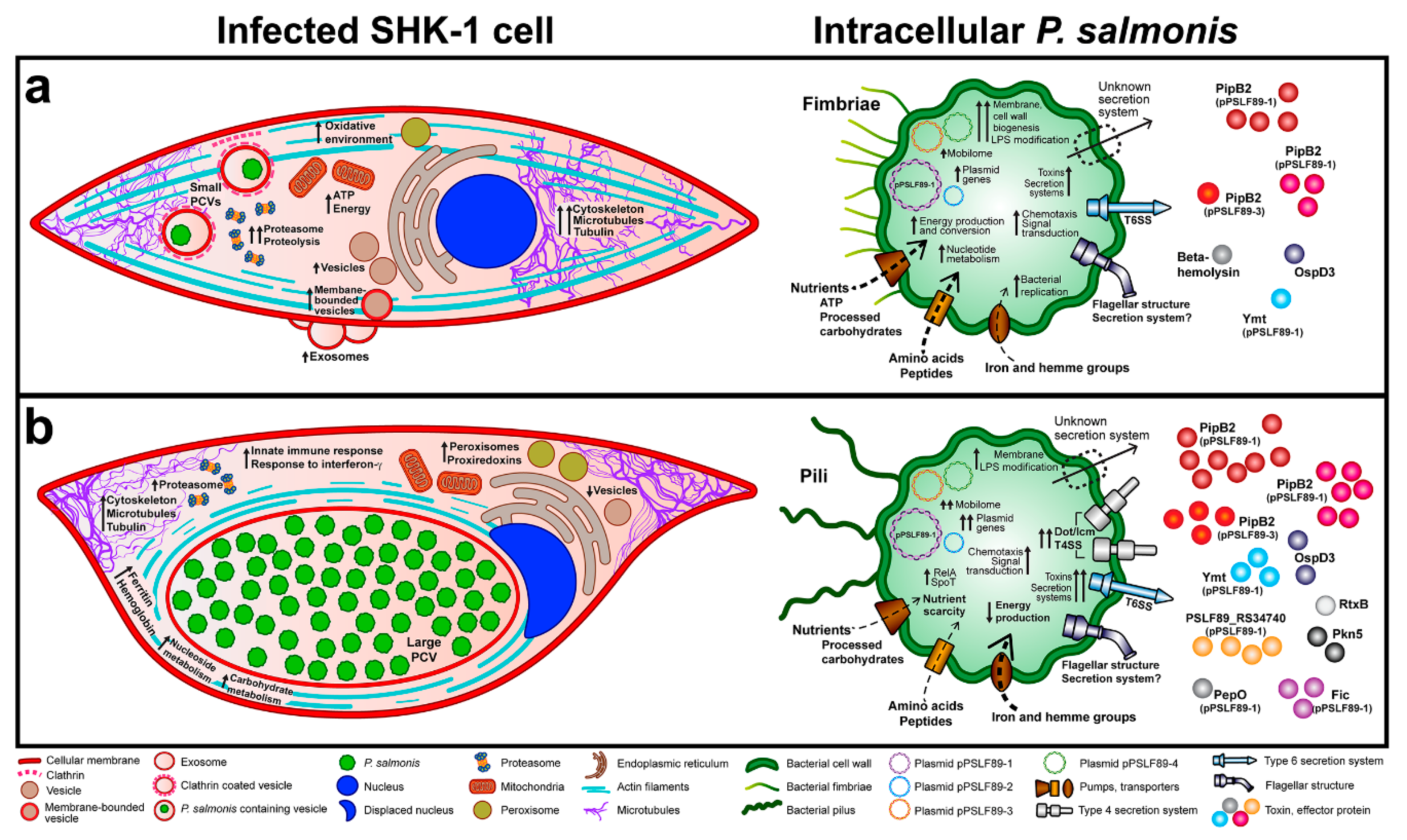 Microorganisms 08 01845 g008
