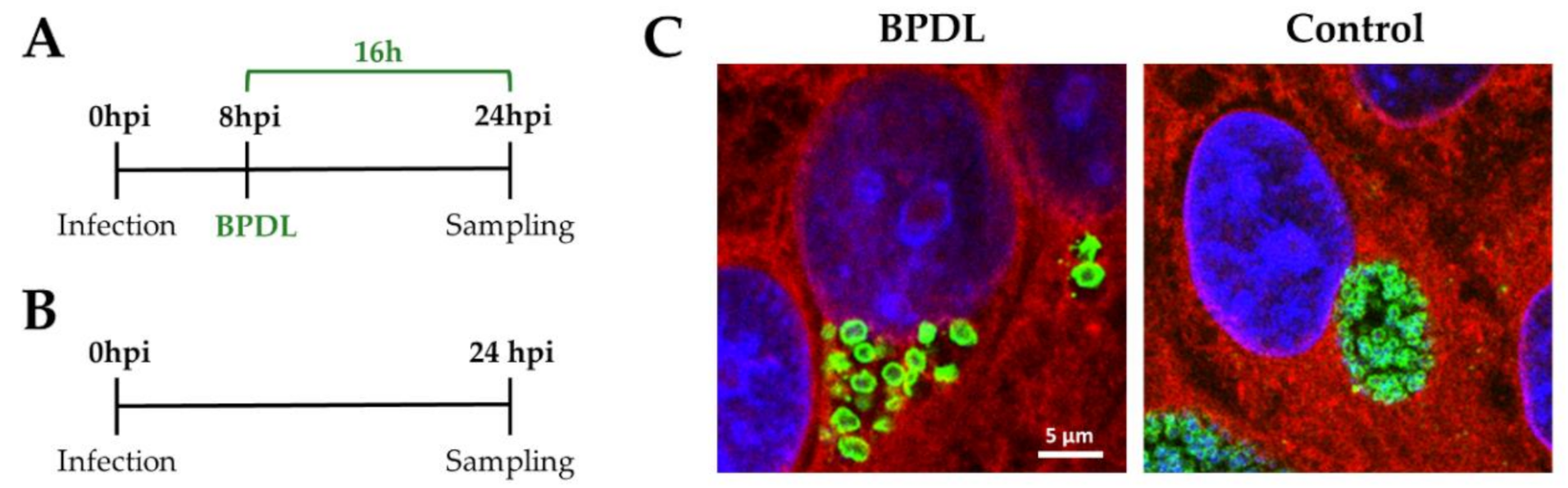 Microorganisms 08 01848 g002