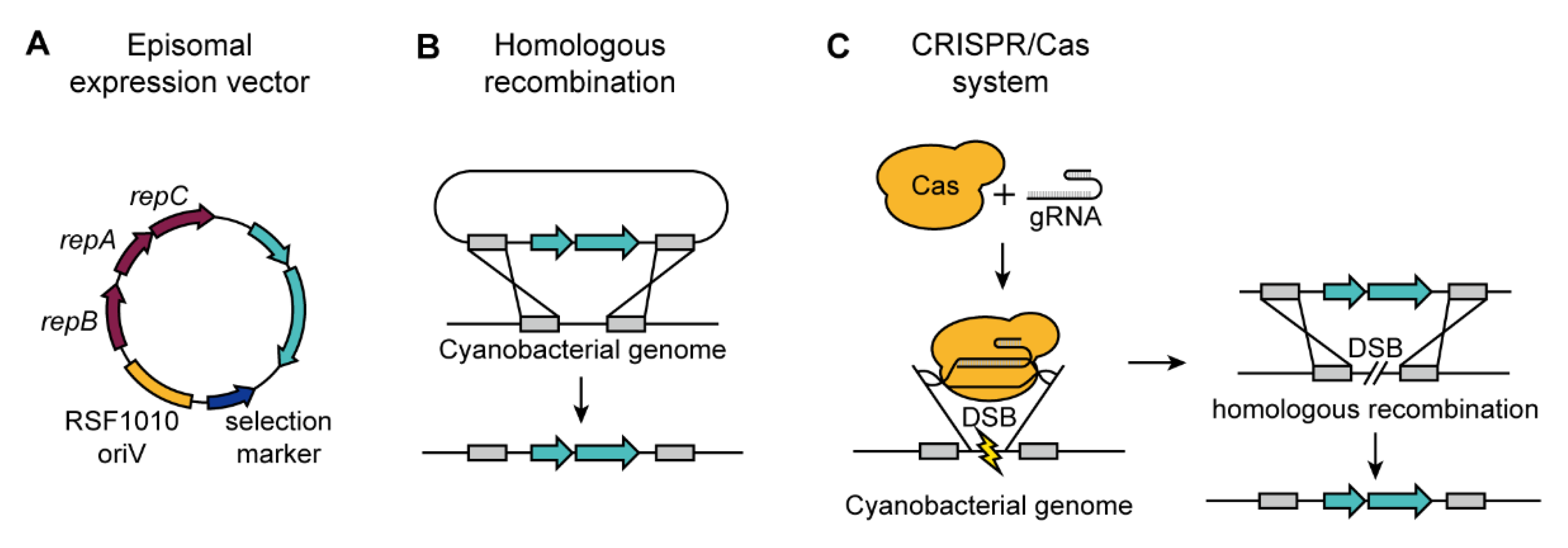 Microorganisms 08 01849 g002 Microorganisms 08 01849 g002