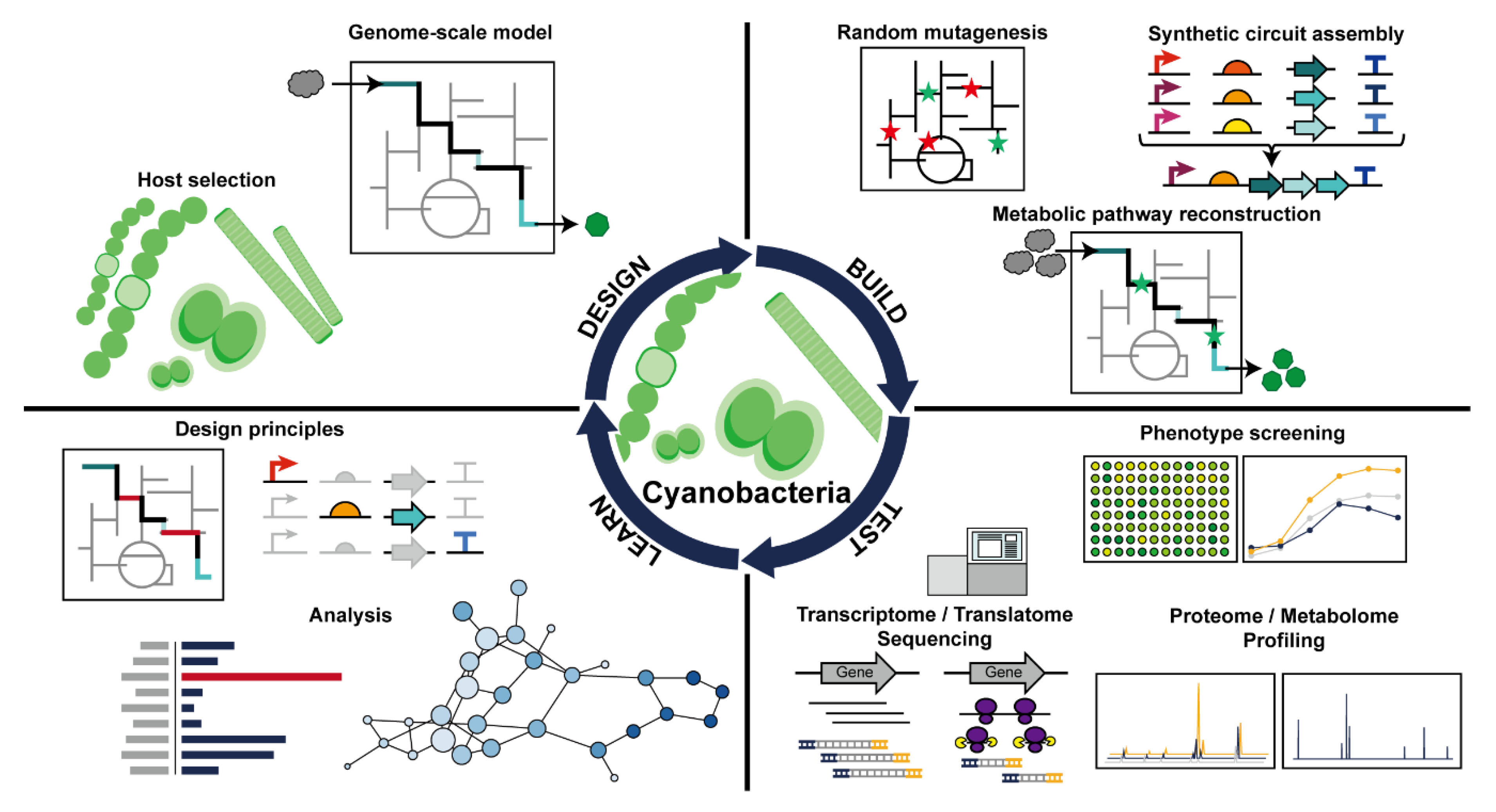 Microorganisms 08 01849 g003 Microorganisms 08 01849 g003