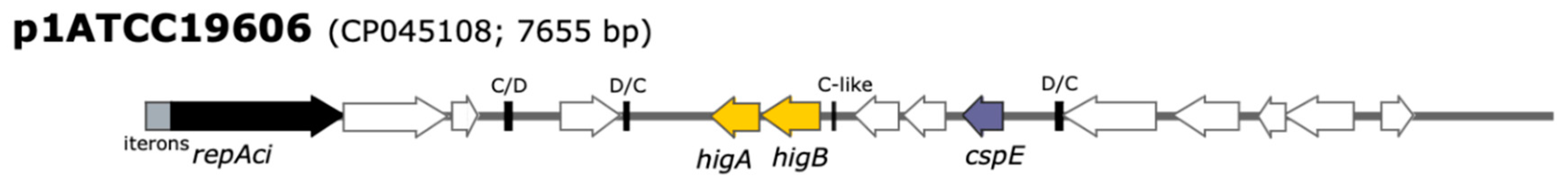 Microorganisms 08 01851 g003