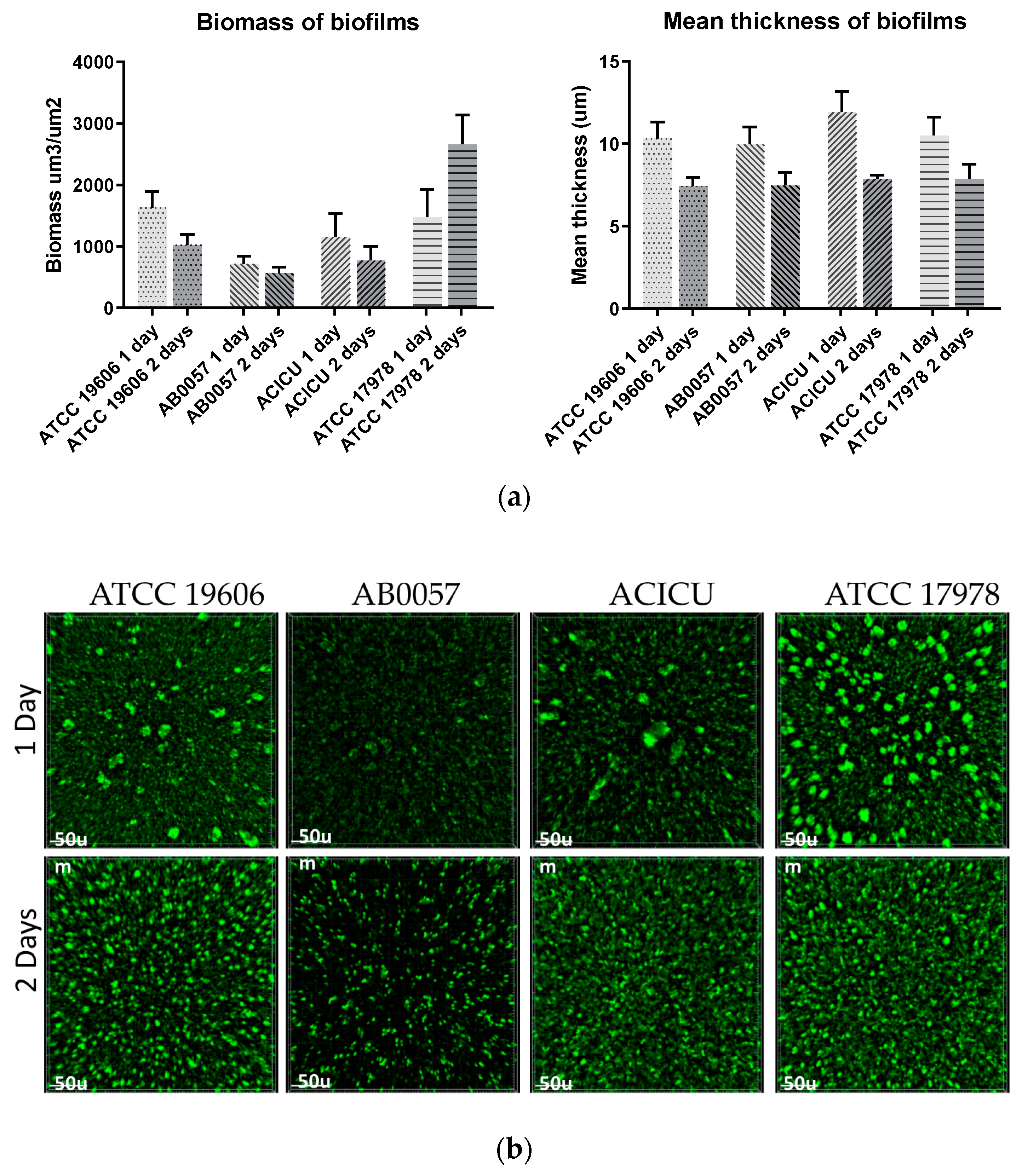 Microorganisms 08 01851 g005