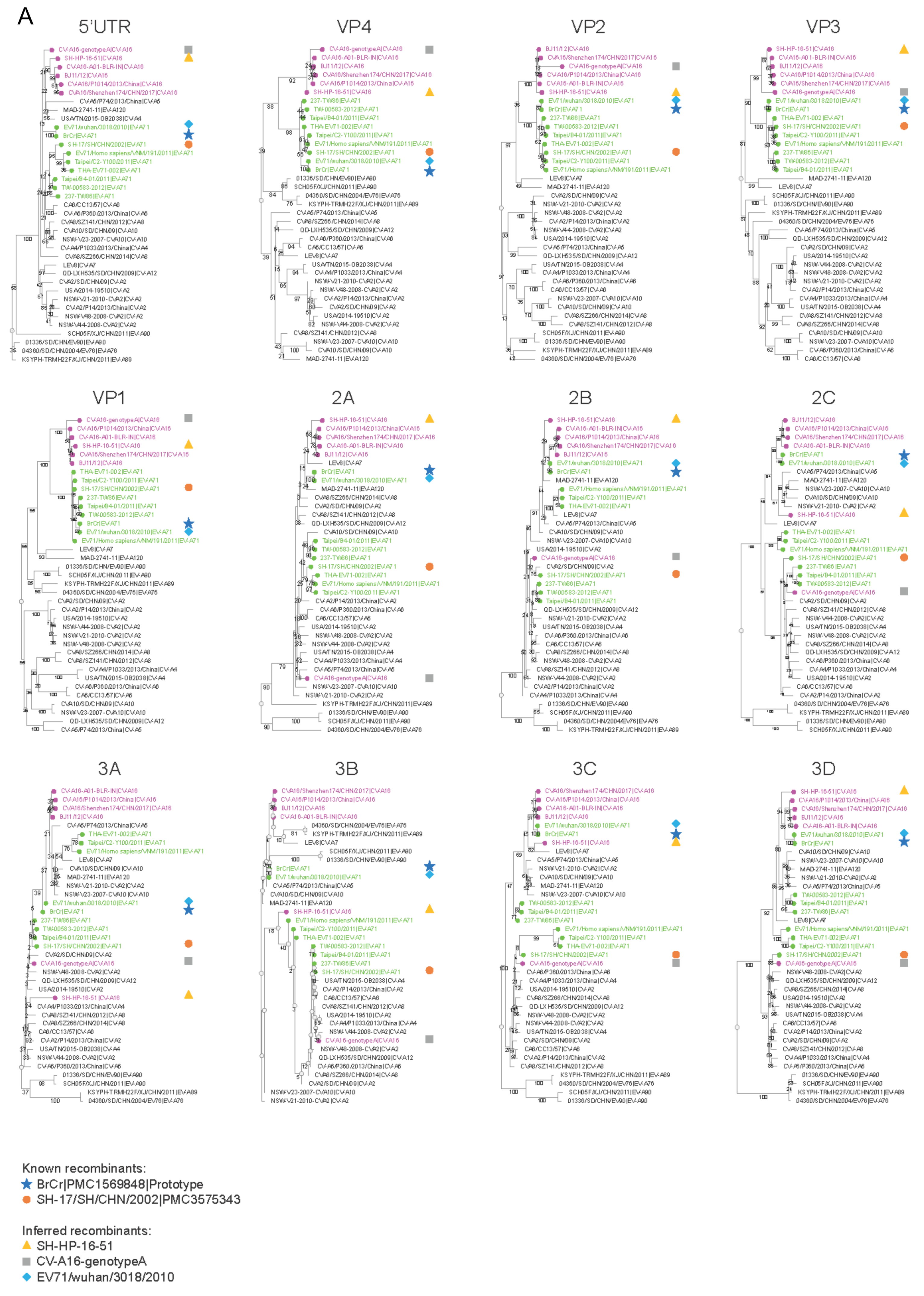 Microorganisms 08 01856 g002a