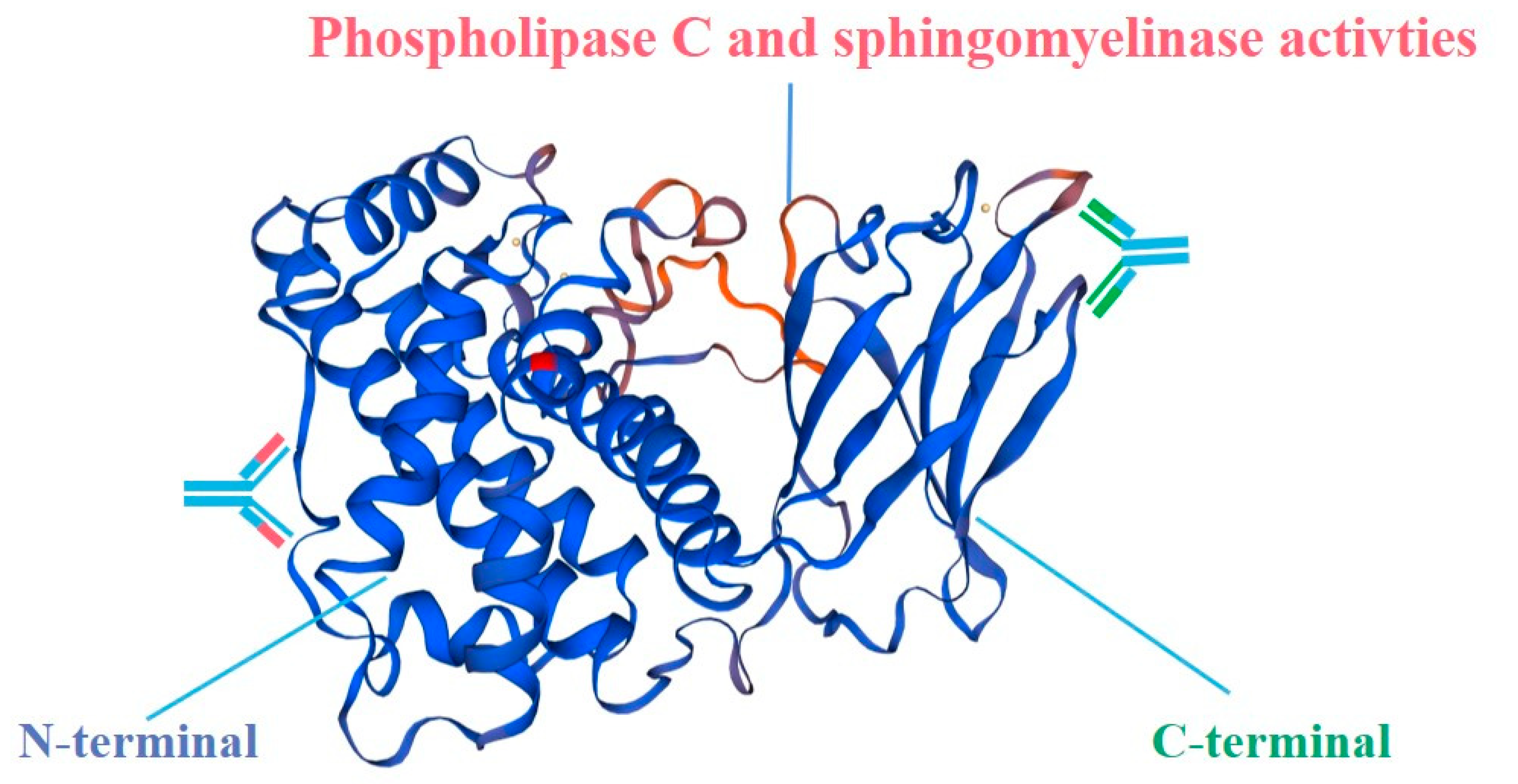 Microorganisms 08 01865 g002
