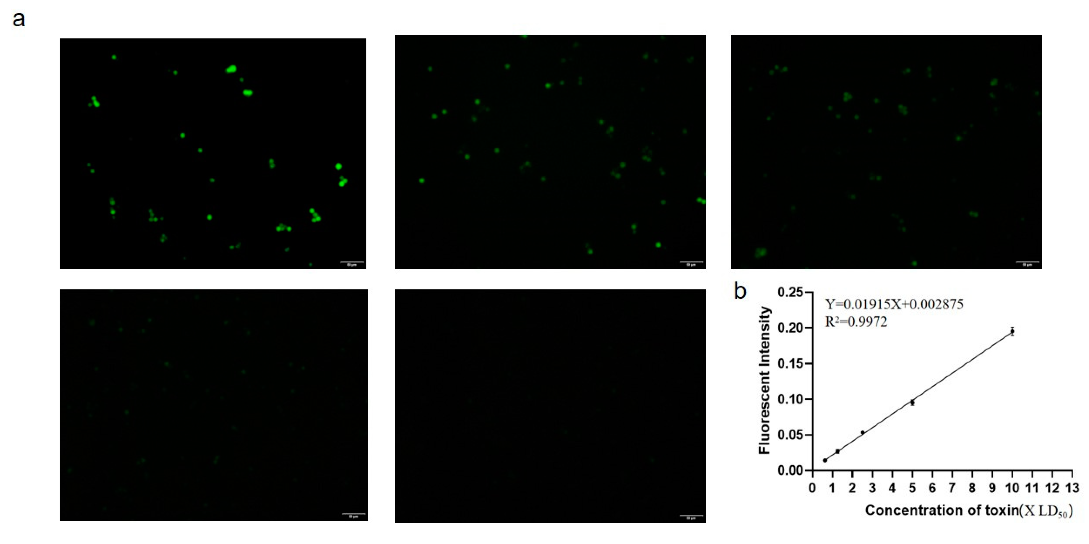 Microorganisms 08 01865 g006