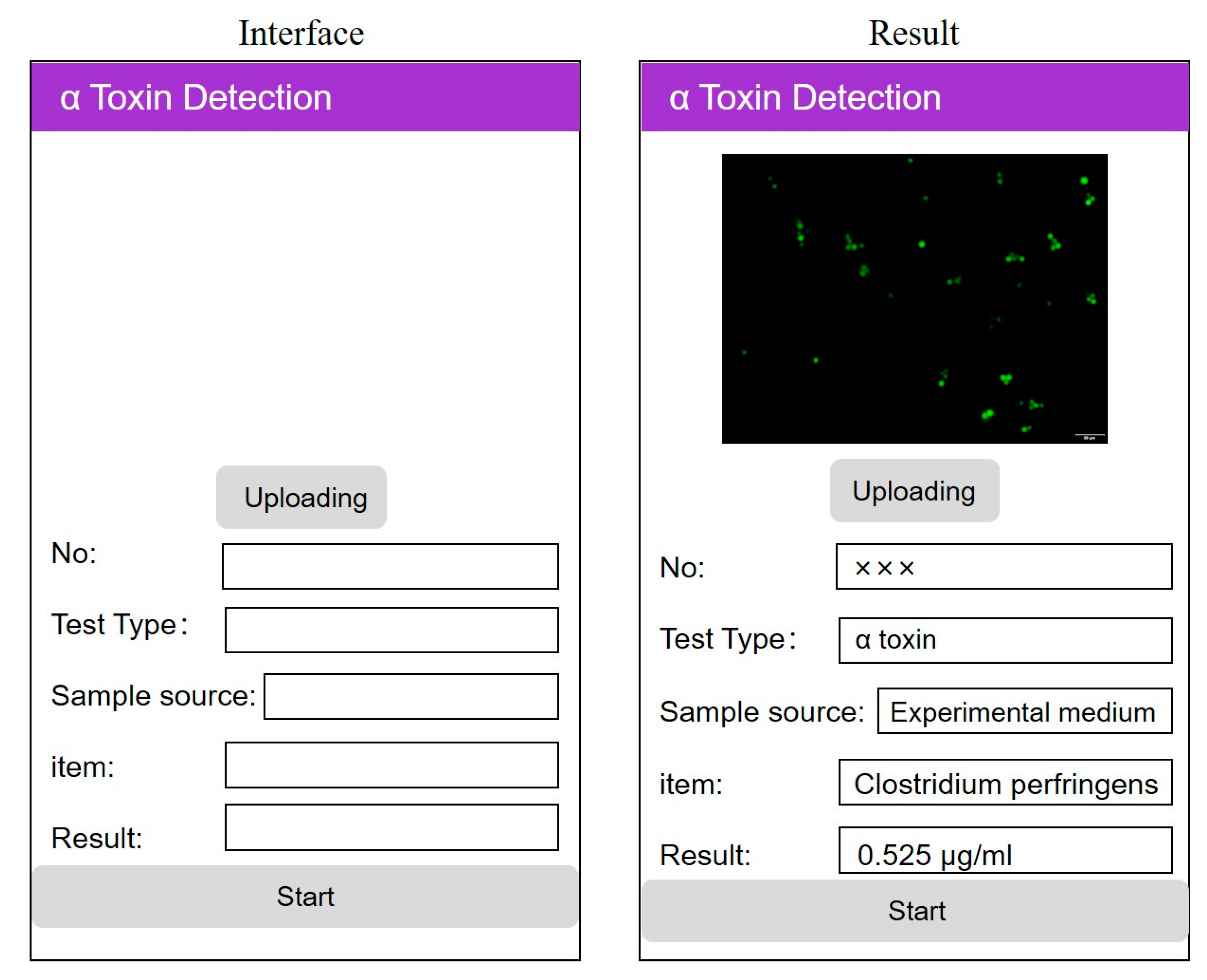 Microorganisms 08 01865 g007