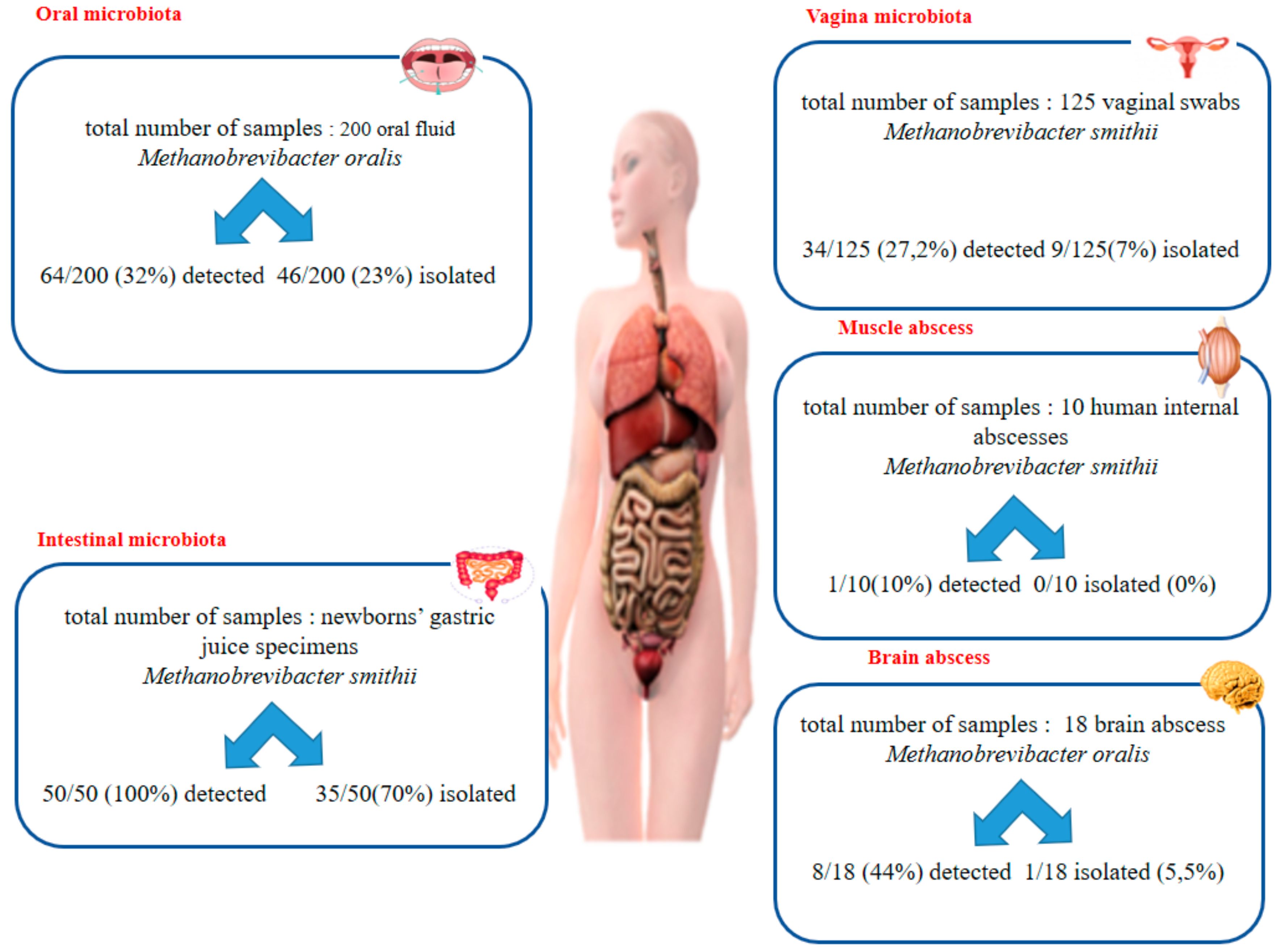 Microorganisms 08 01866 g001