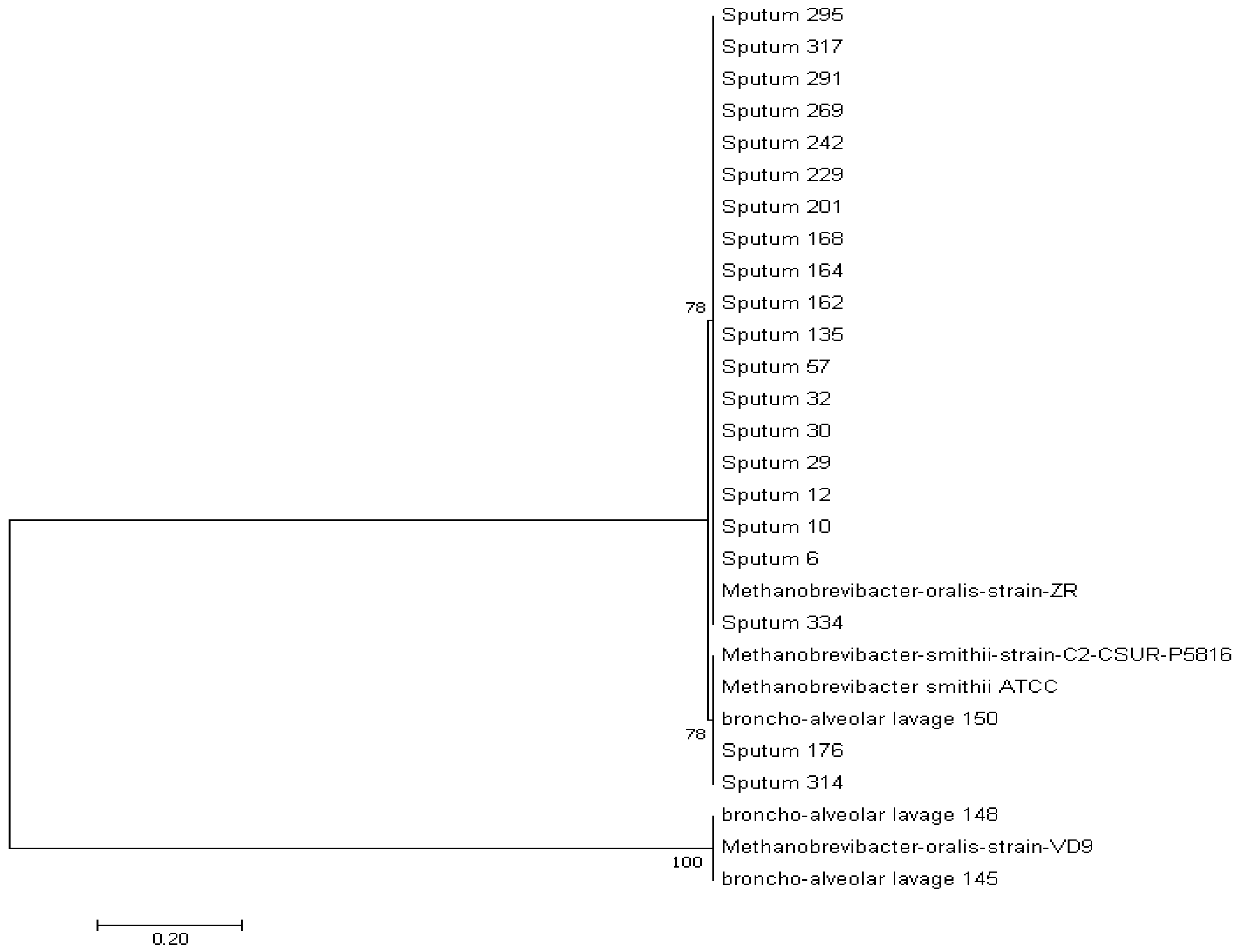 Microorganisms 08 01866 g002