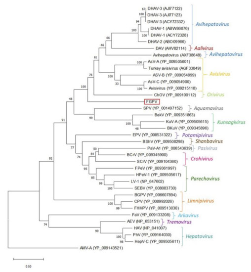 Microorganisms 08 01869 g0a1