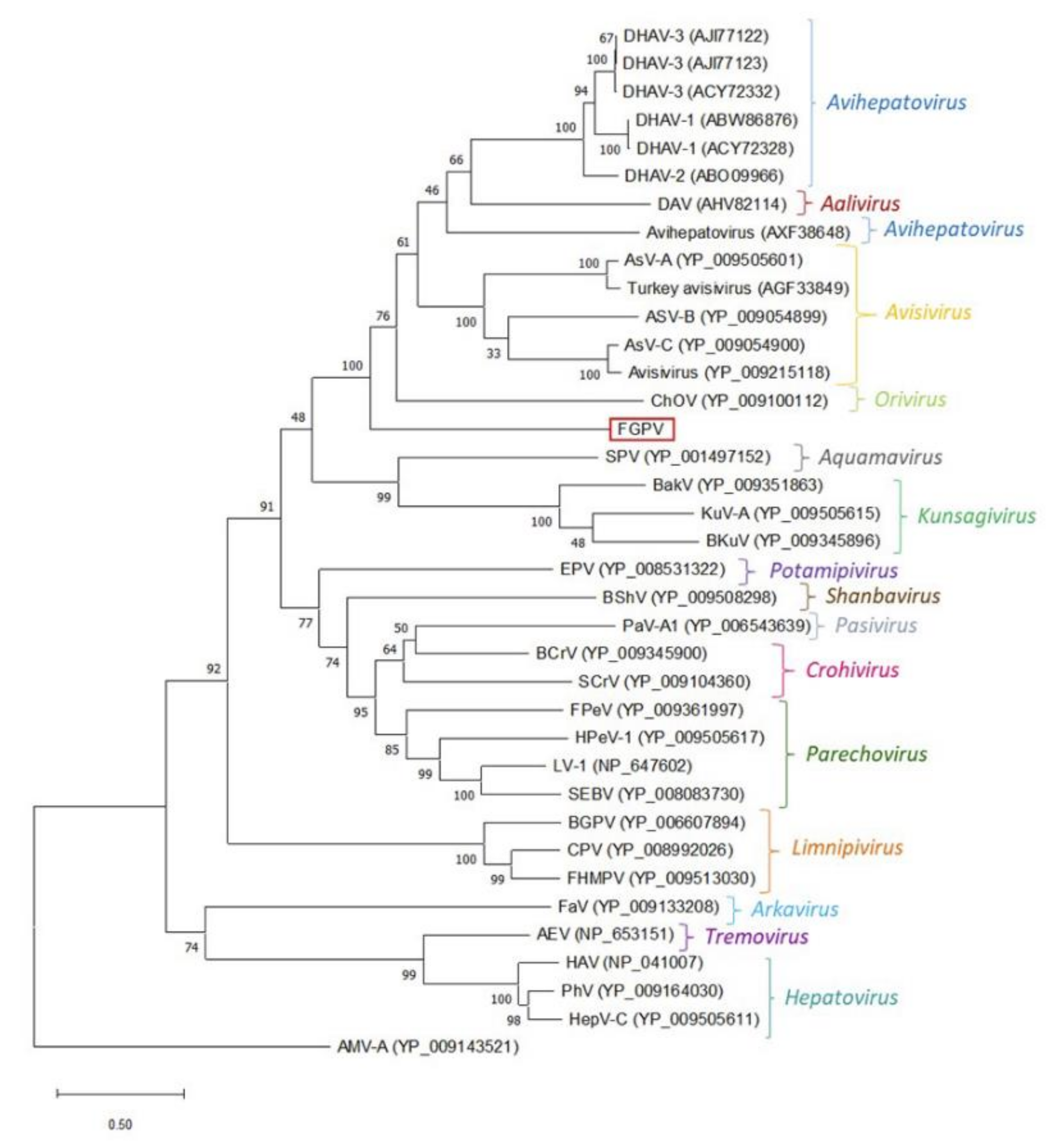 Microorganisms 08 01869 g0a1 Microorganisms 08 01869 g0a1