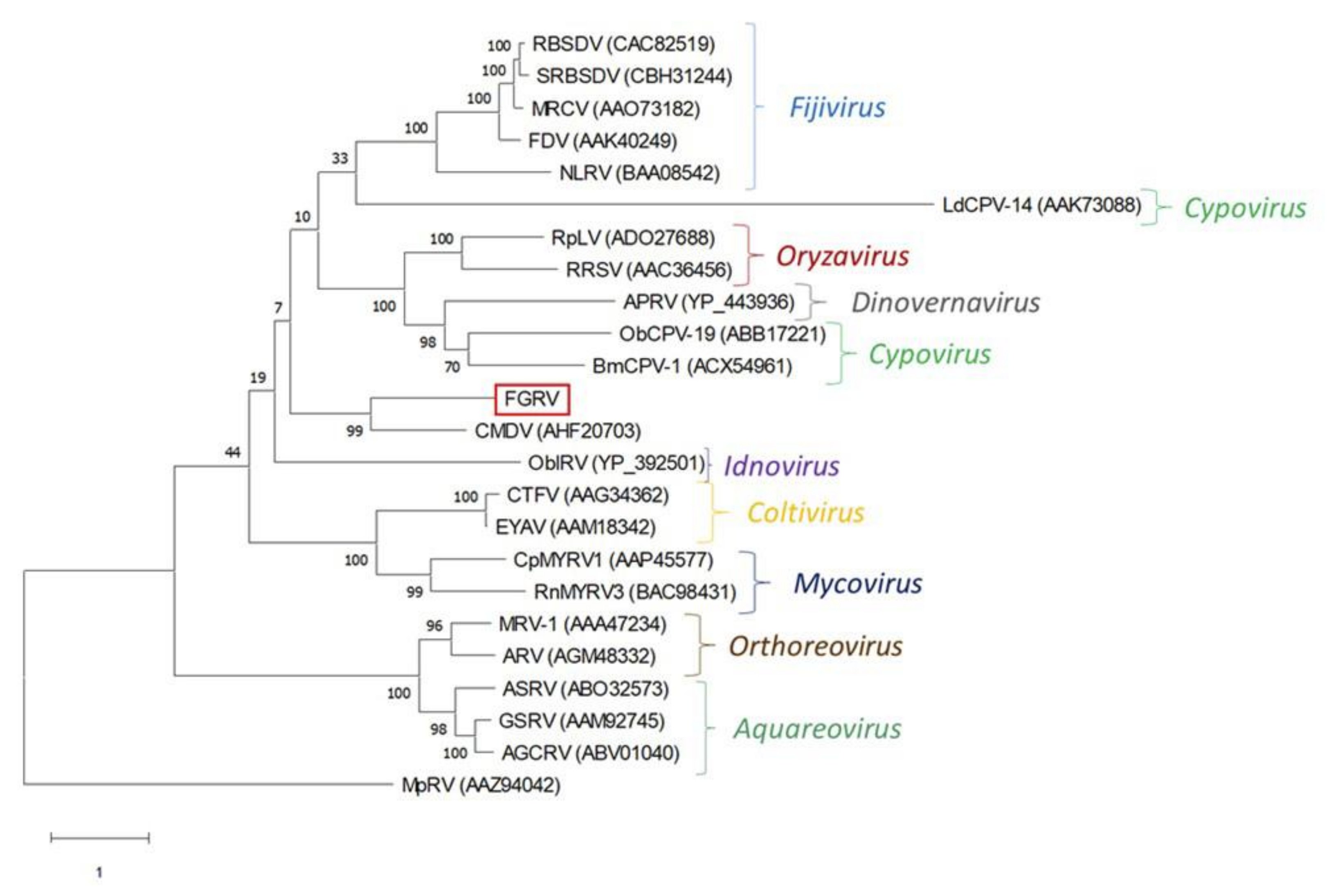 Microorganisms 08 01869 g0a2 Microorganisms 08 01869 g0a2