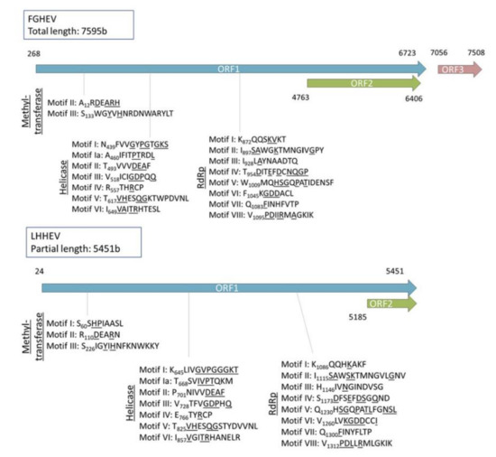 Microorganisms 08 01869 g0a3