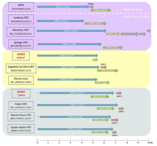 Microorganisms 08 01869 g0a4