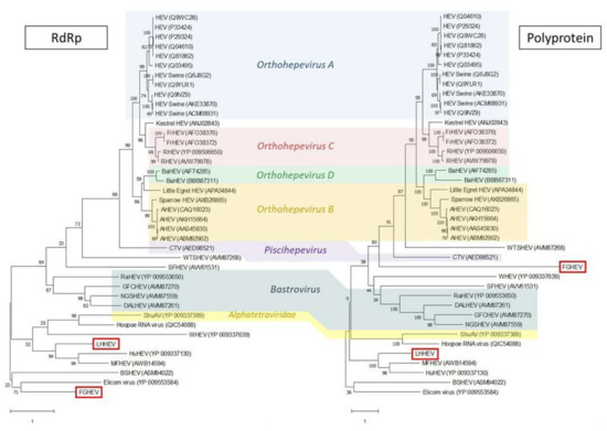 Microorganisms 08 01869 g0a7
