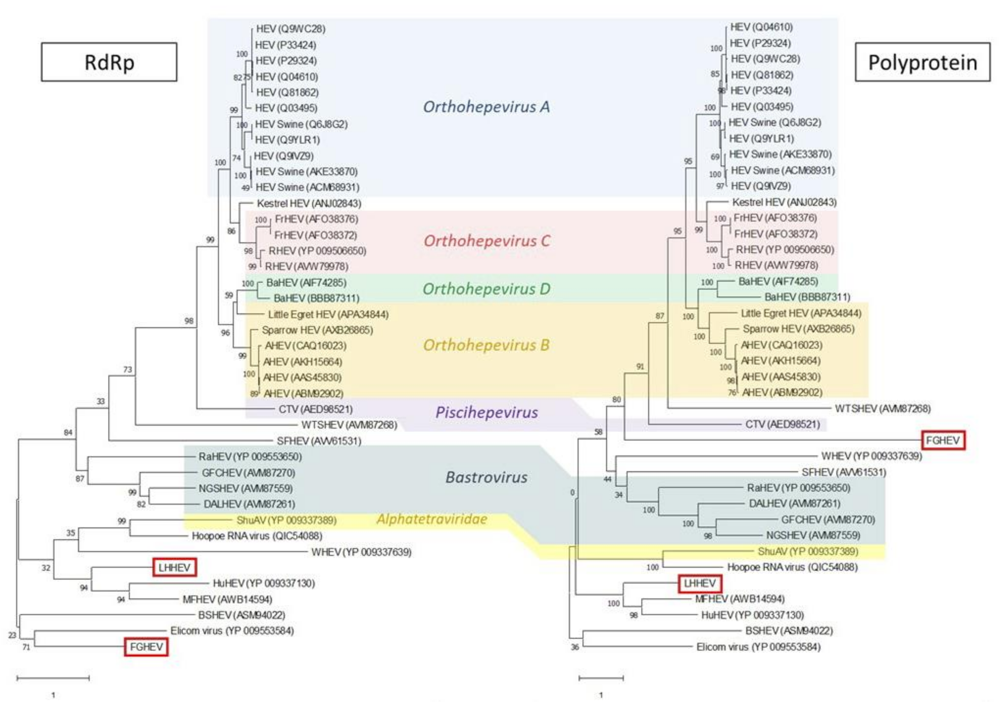 Microorganisms 08 01869 g0a7 Microorganisms 08 01869 g0a7