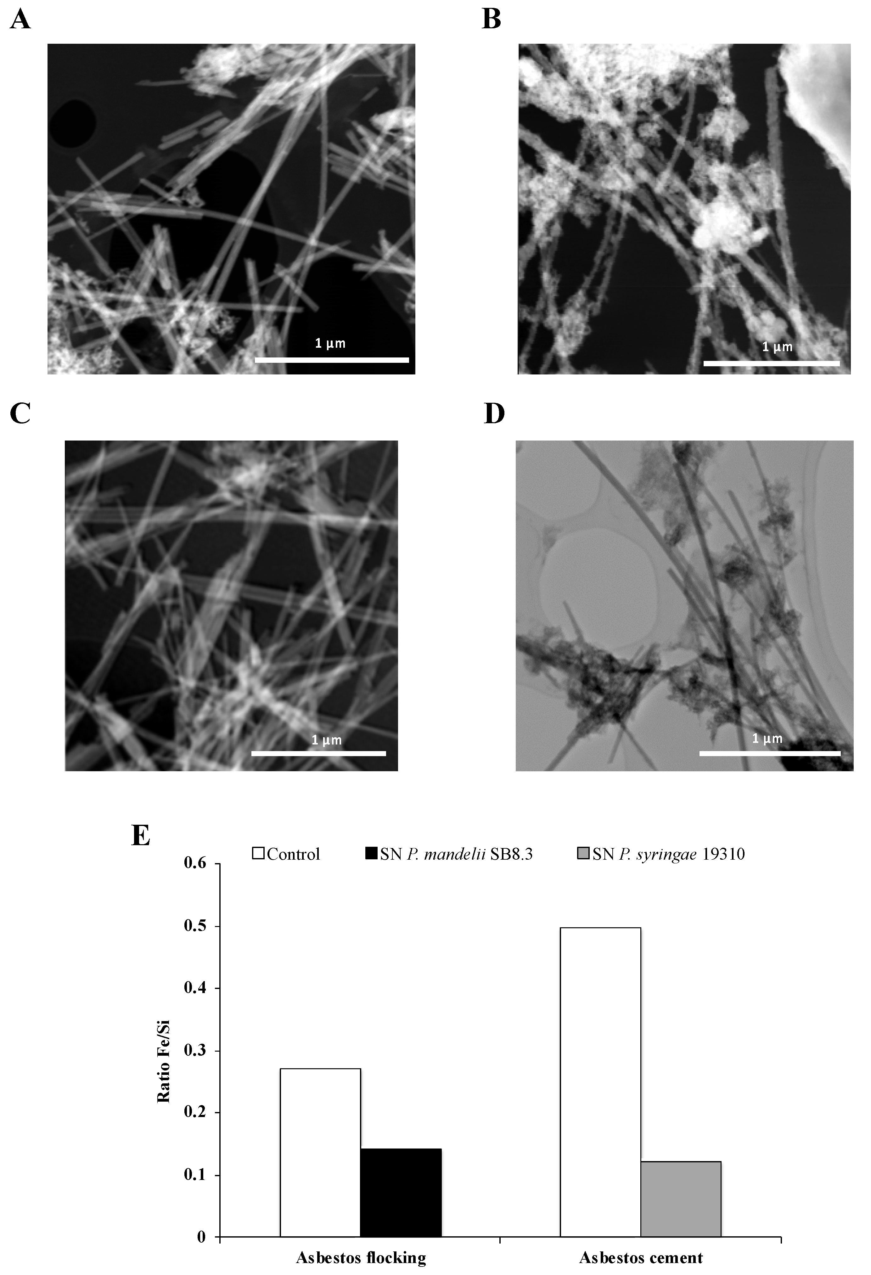Microorganisms 08 01870 g008 Microorganisms 08 01870 g008