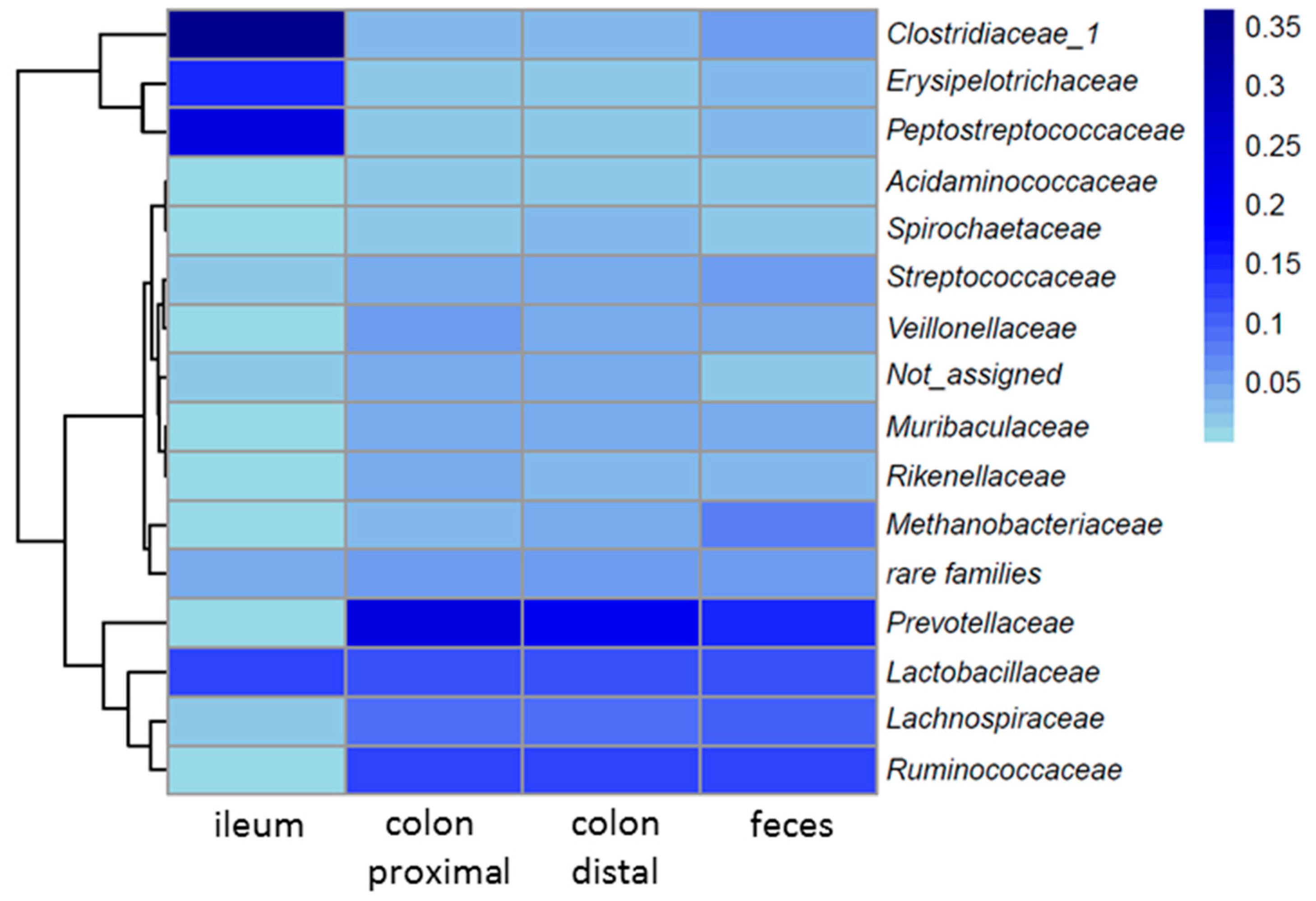 Microorganisms 08 01887 g004