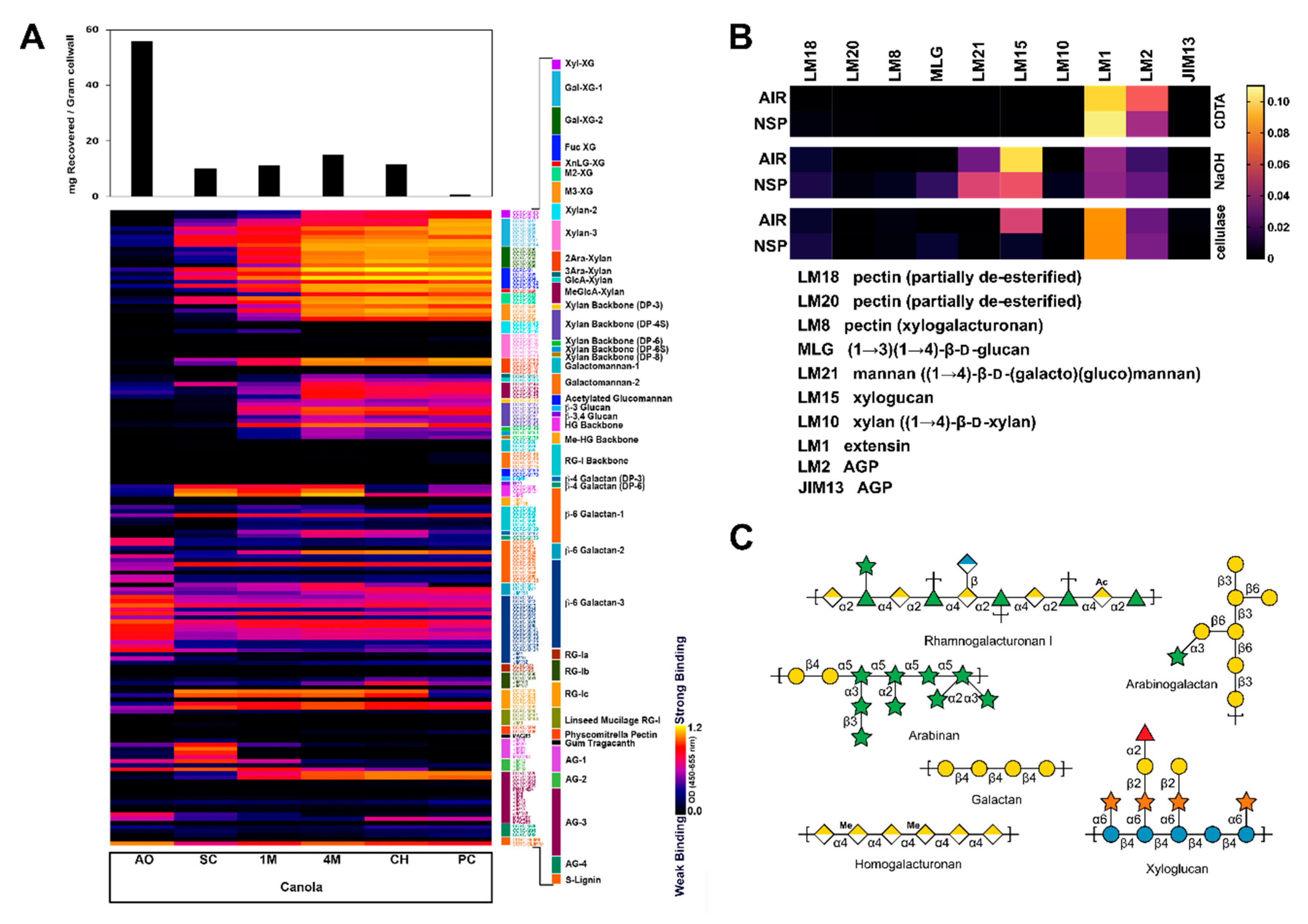 Microorganisms 08 01888 g001 Microorganisms 08 01888 g001