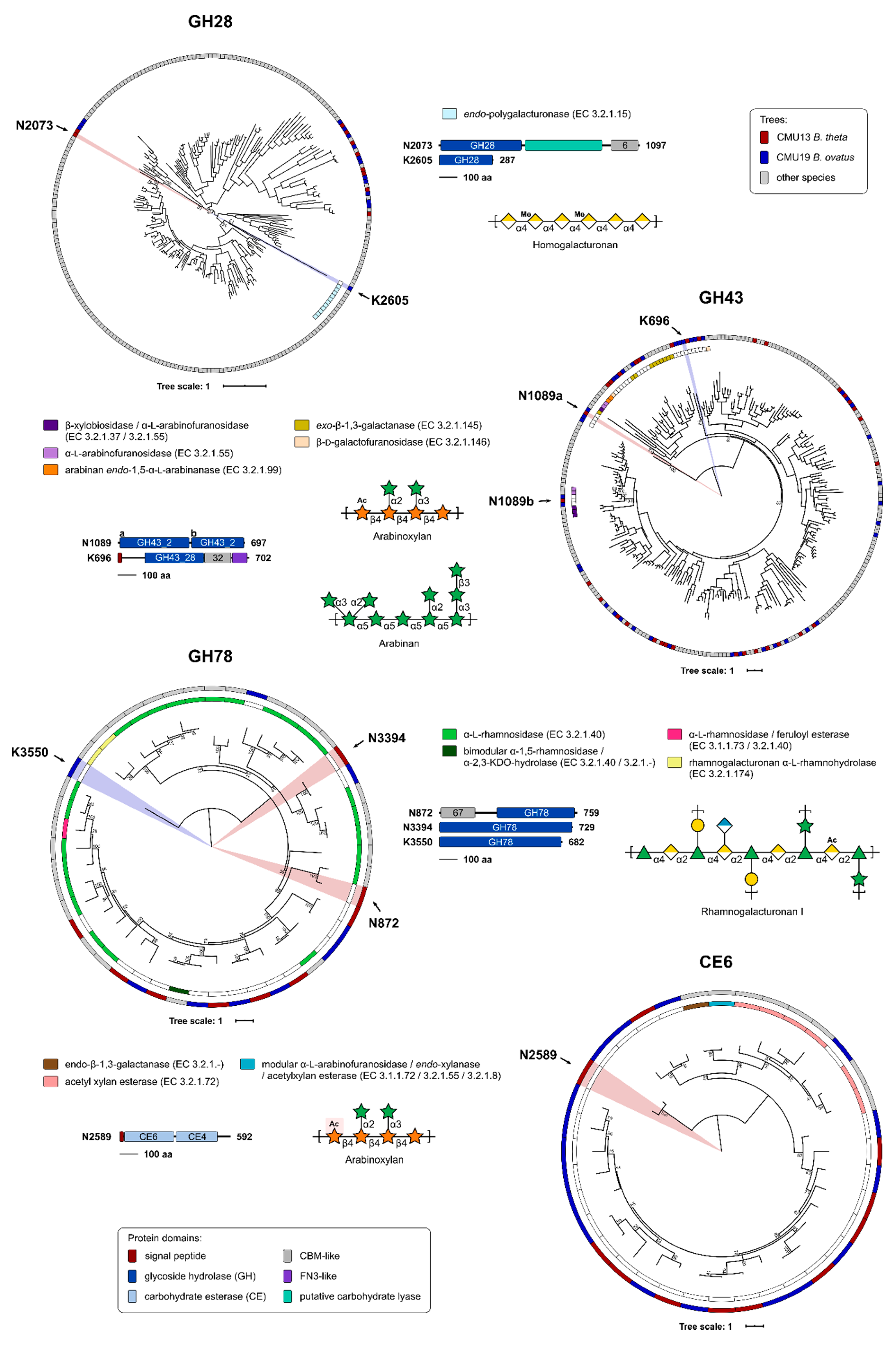 Microorganisms 08 01888 g006 Microorganisms 08 01888 g006
