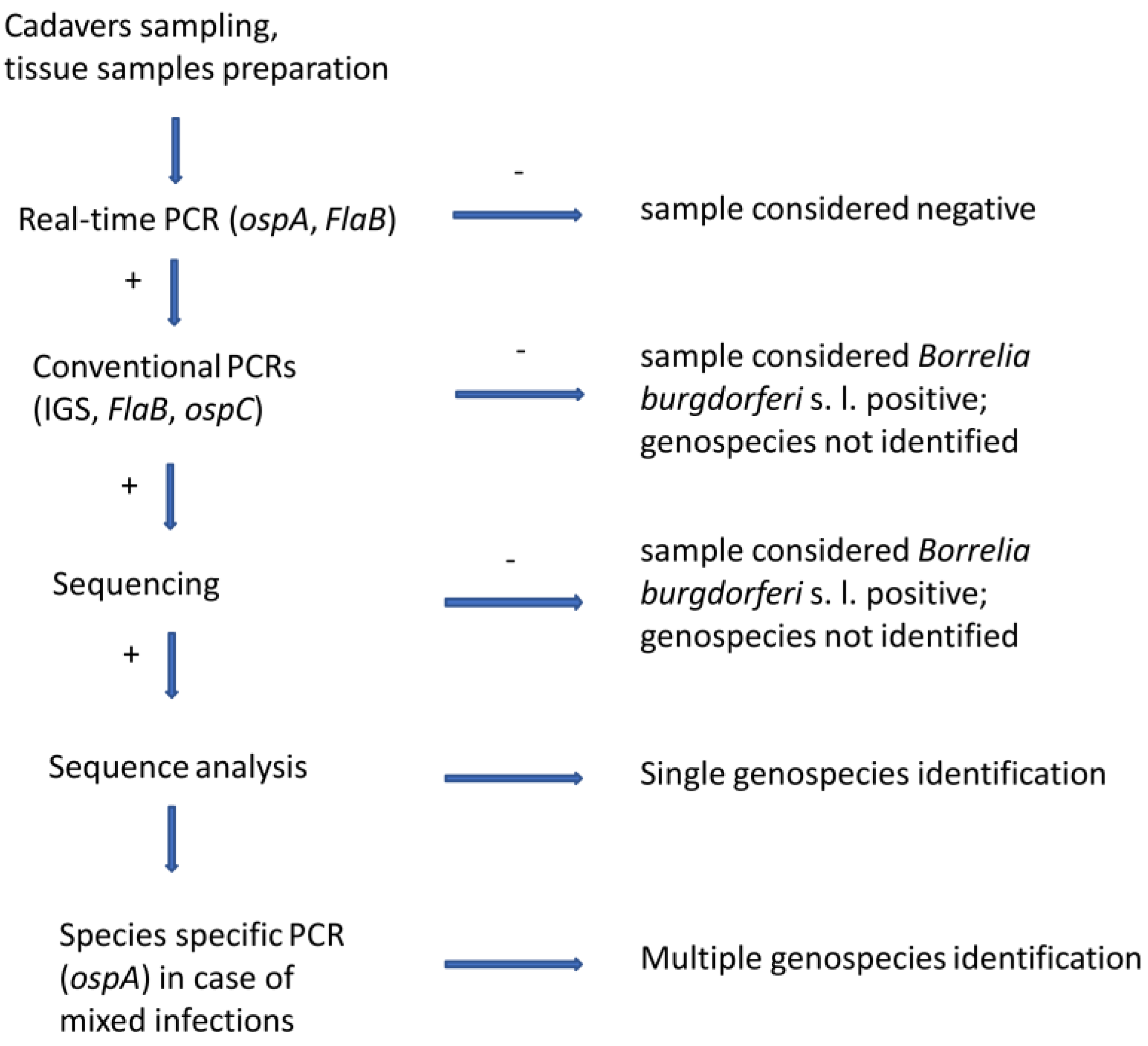 Microorganisms 08 01908 g001 Microorganisms 08 01908 g001
