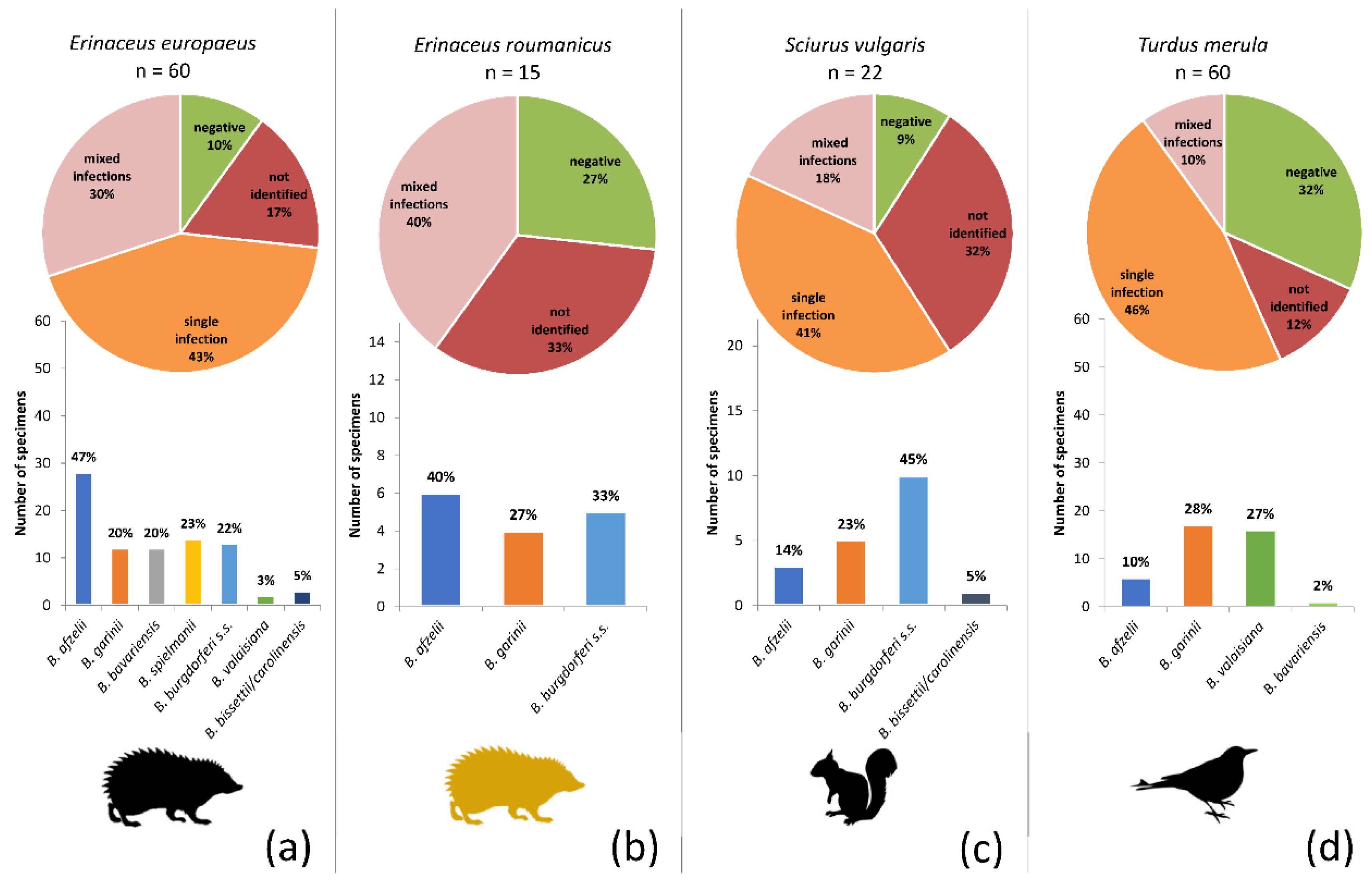 Microorganisms 08 01908 g004 Microorganisms 08 01908 g004