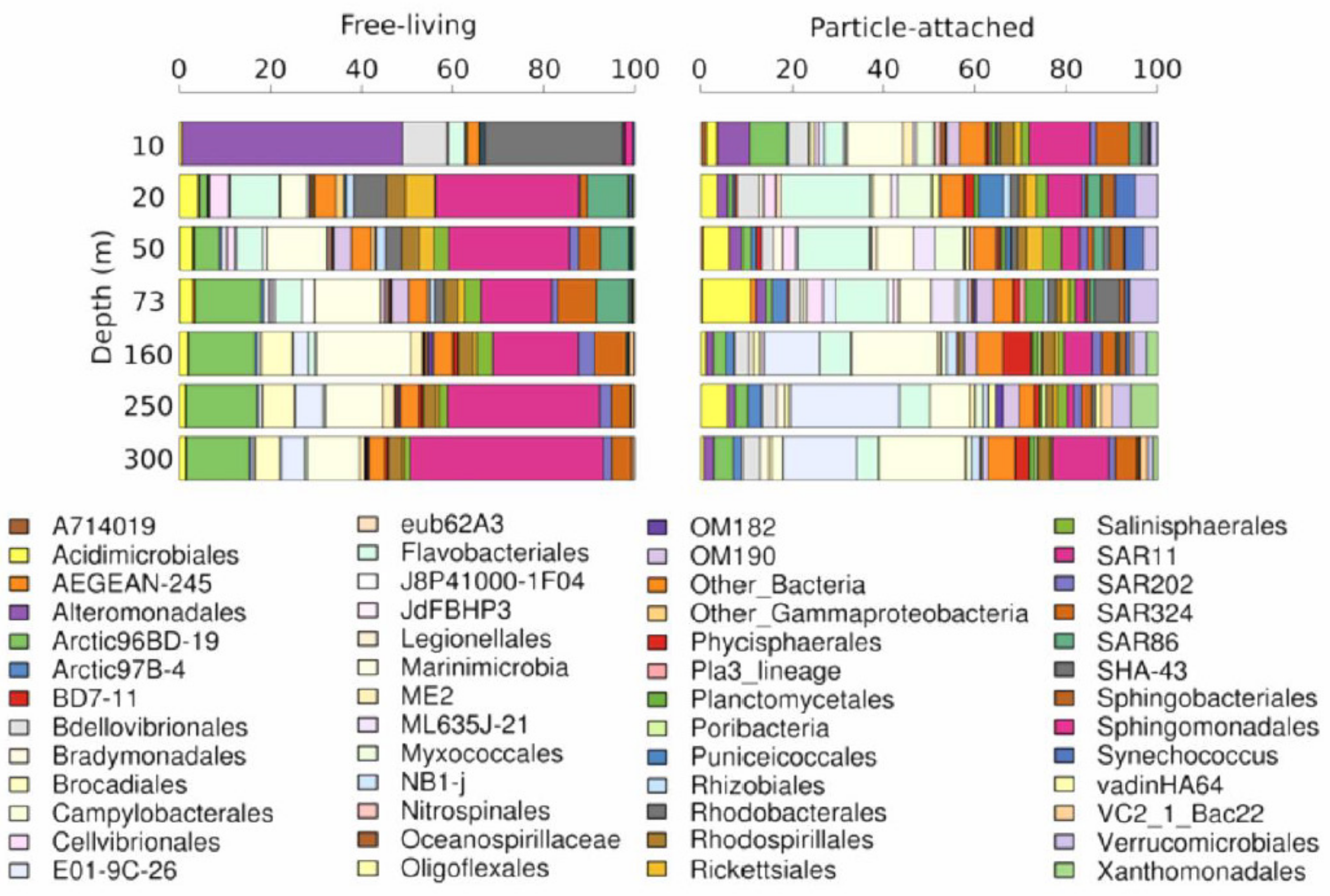 Microorganisms 08 01924 g003 Microorganisms 08 01924 g003