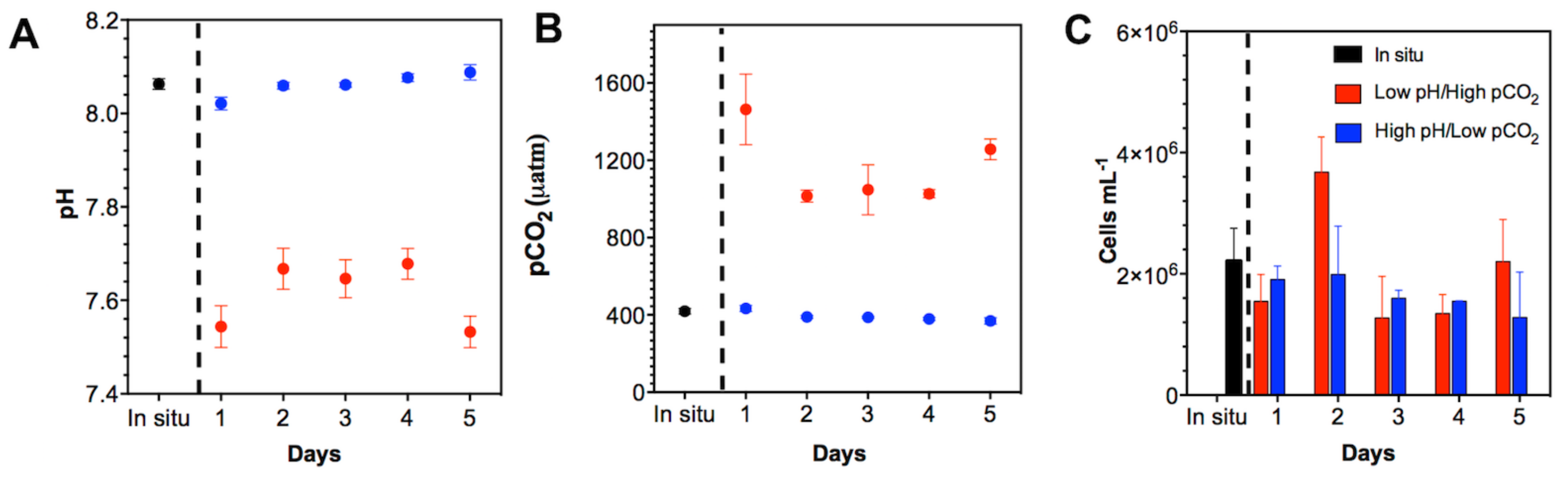 Microorganisms 08 01924 g004 Microorganisms 08 01924 g004