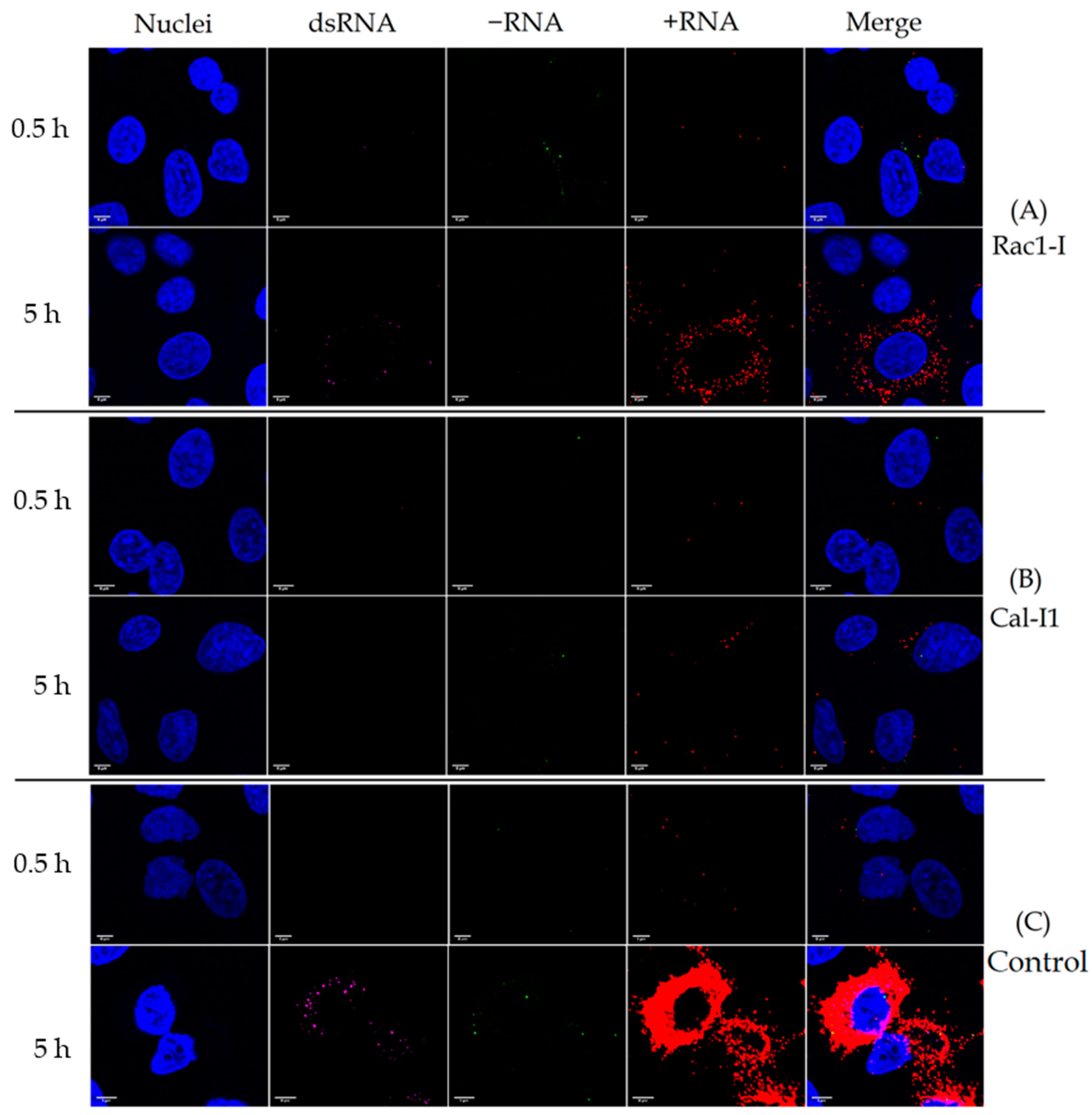 Microorganisms 08 01928 g008