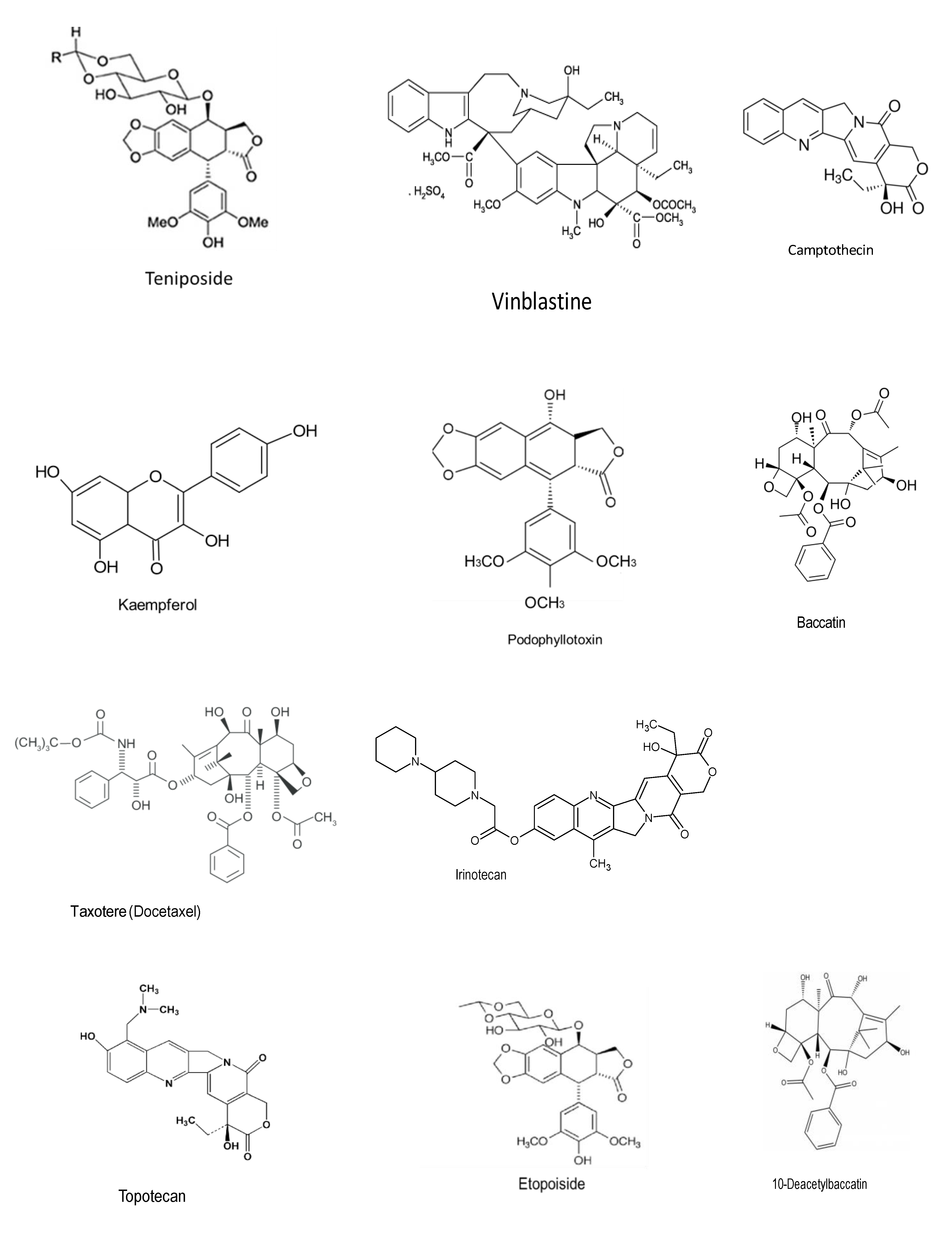 Microorganisms 08 01934 g004b Microorganisms 08 01934 g004b