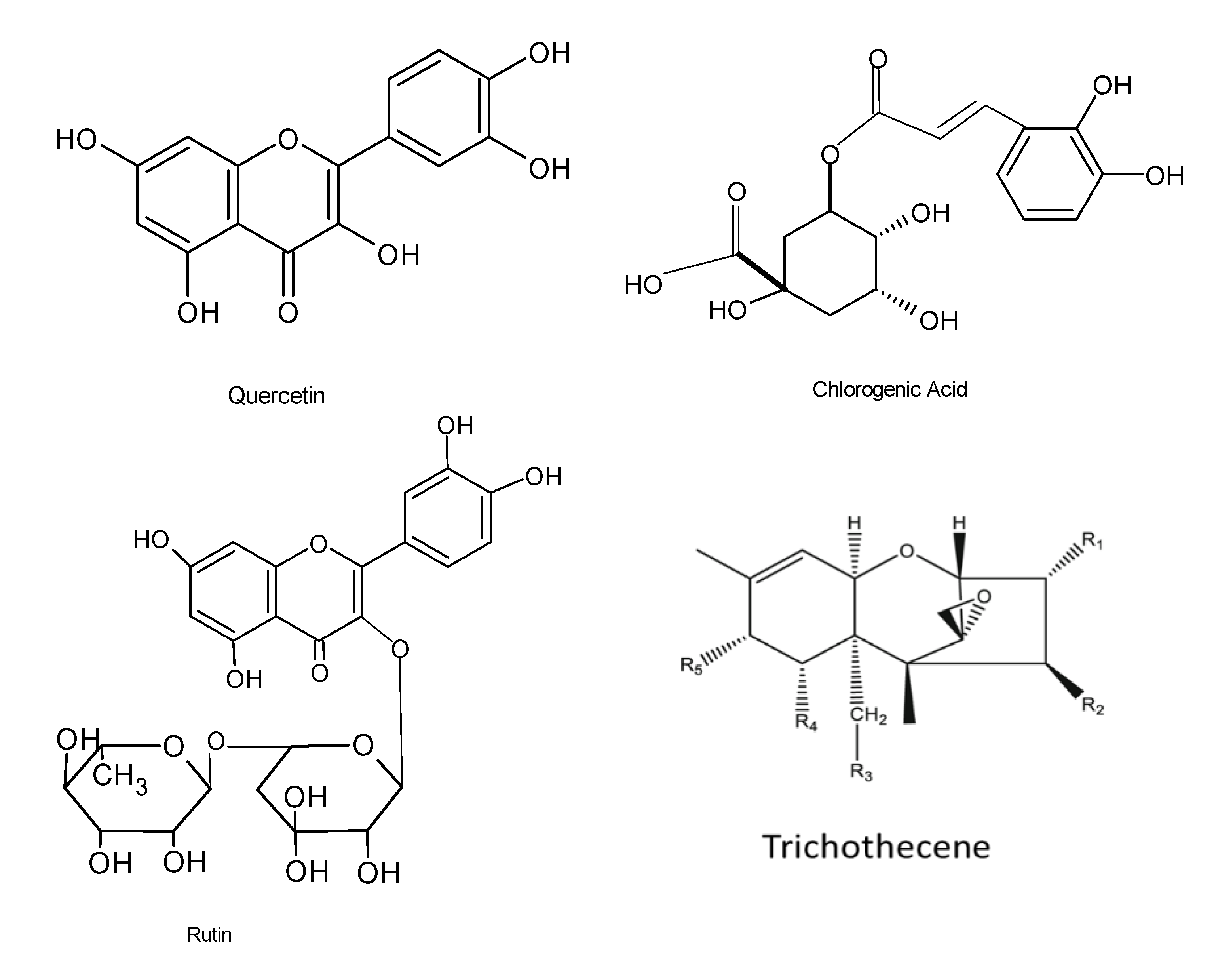 Microorganisms 08 01934 g005a Microorganisms 08 01934 g005a