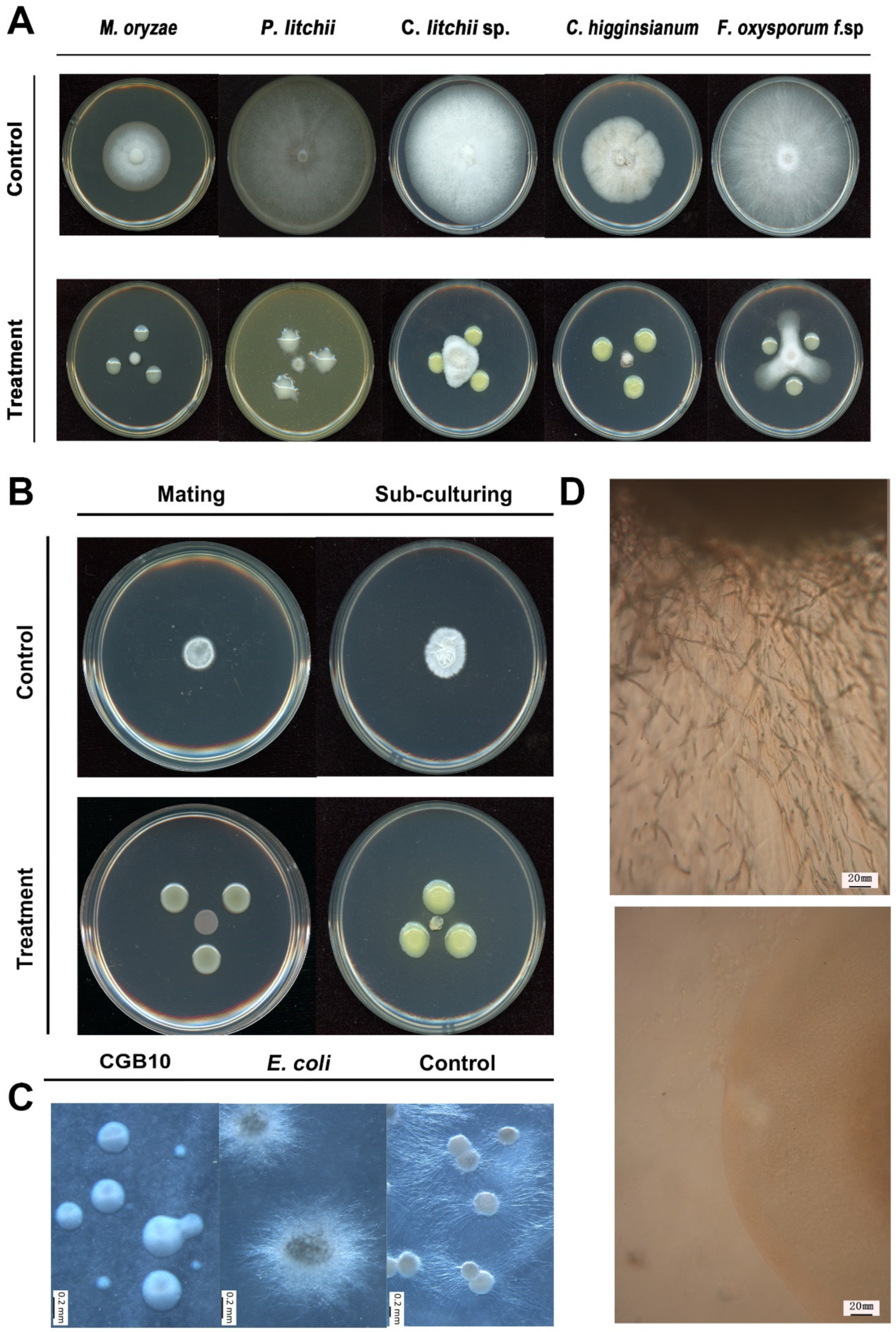 Microorganisms 08 01943 g002 Microorganisms 08 01943 g002