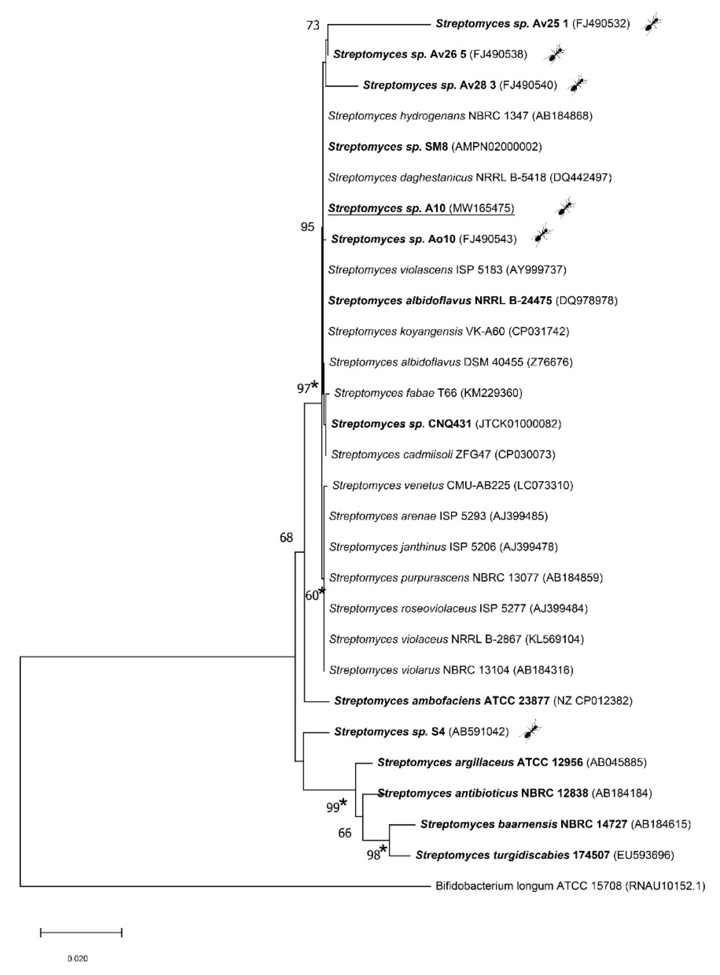 Microorganisms 08 01948 g003