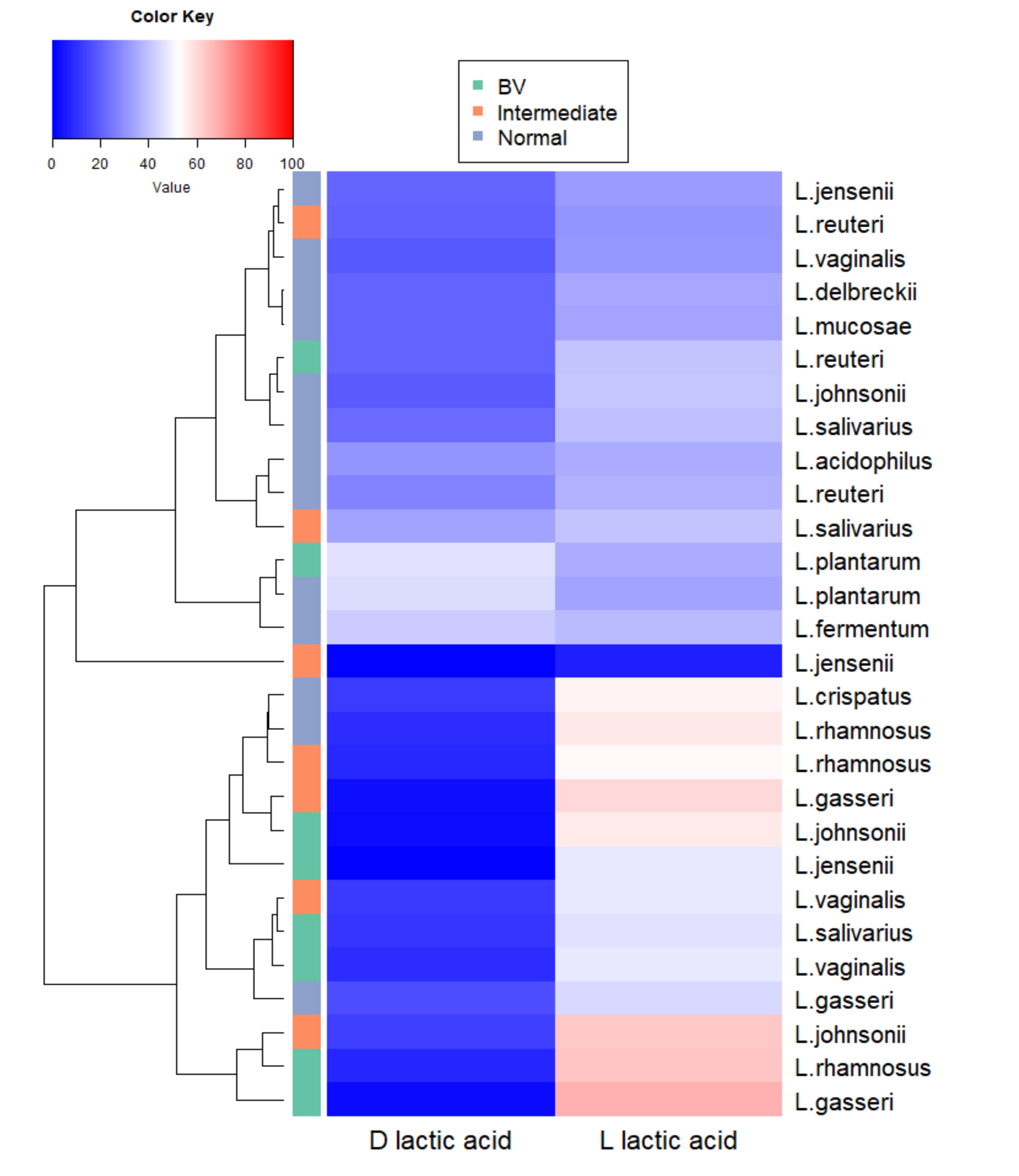 Microorganisms 08 01949 g008 Microorganisms 08 01949 g008