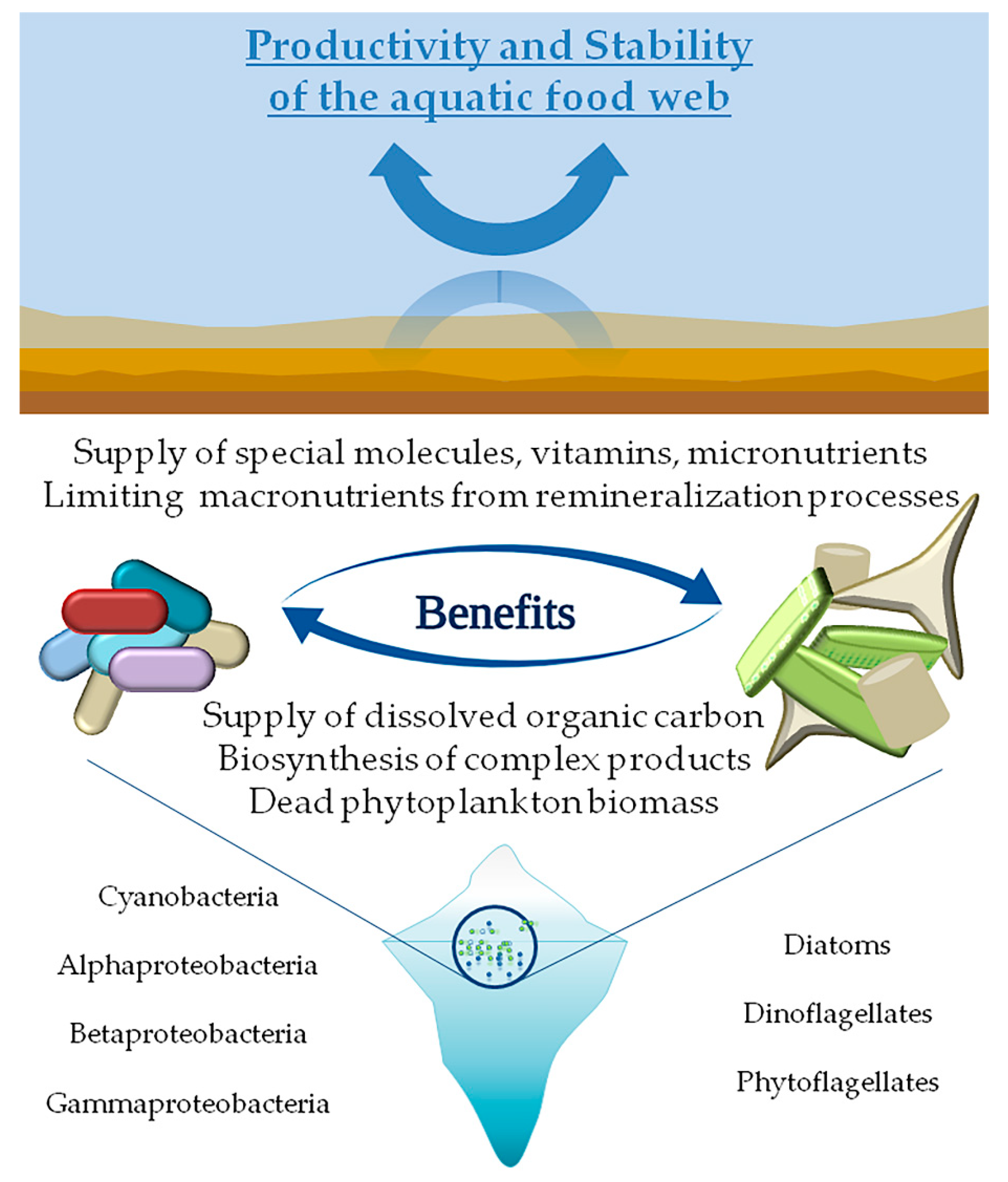 Microorganisms 08 01957 g001