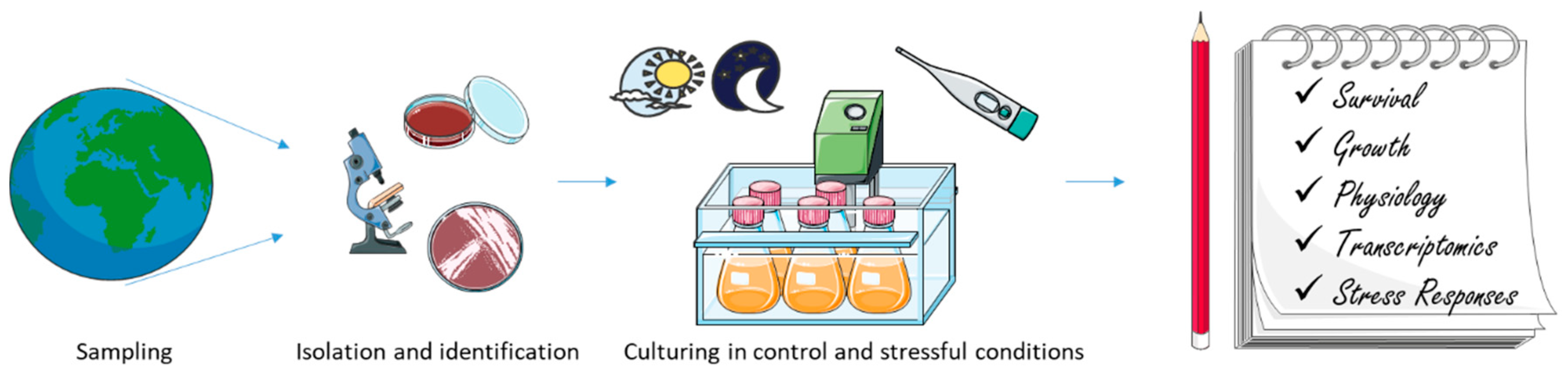 Microorganisms 08 01957 g002
