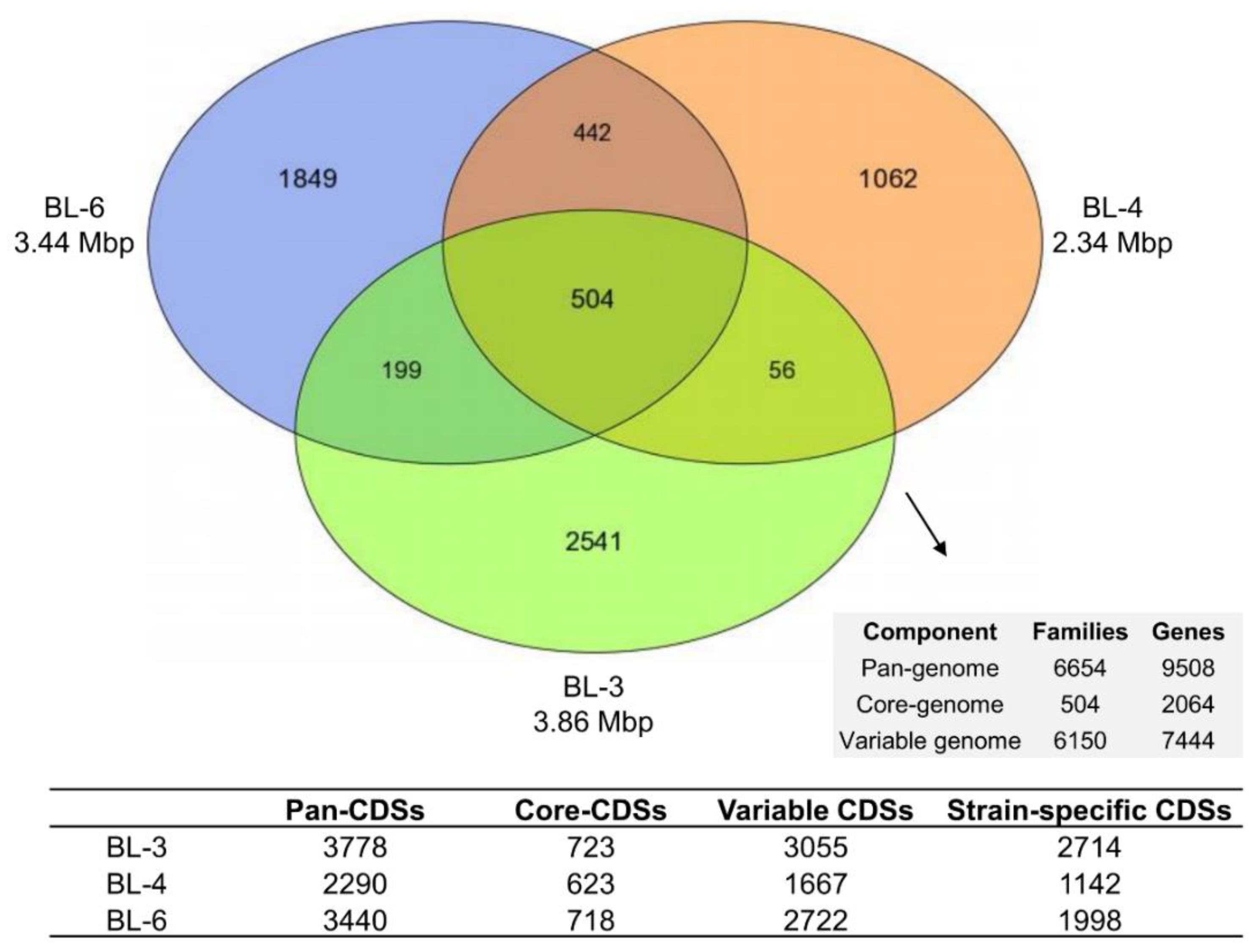 Microorganisms 08 01970 g002