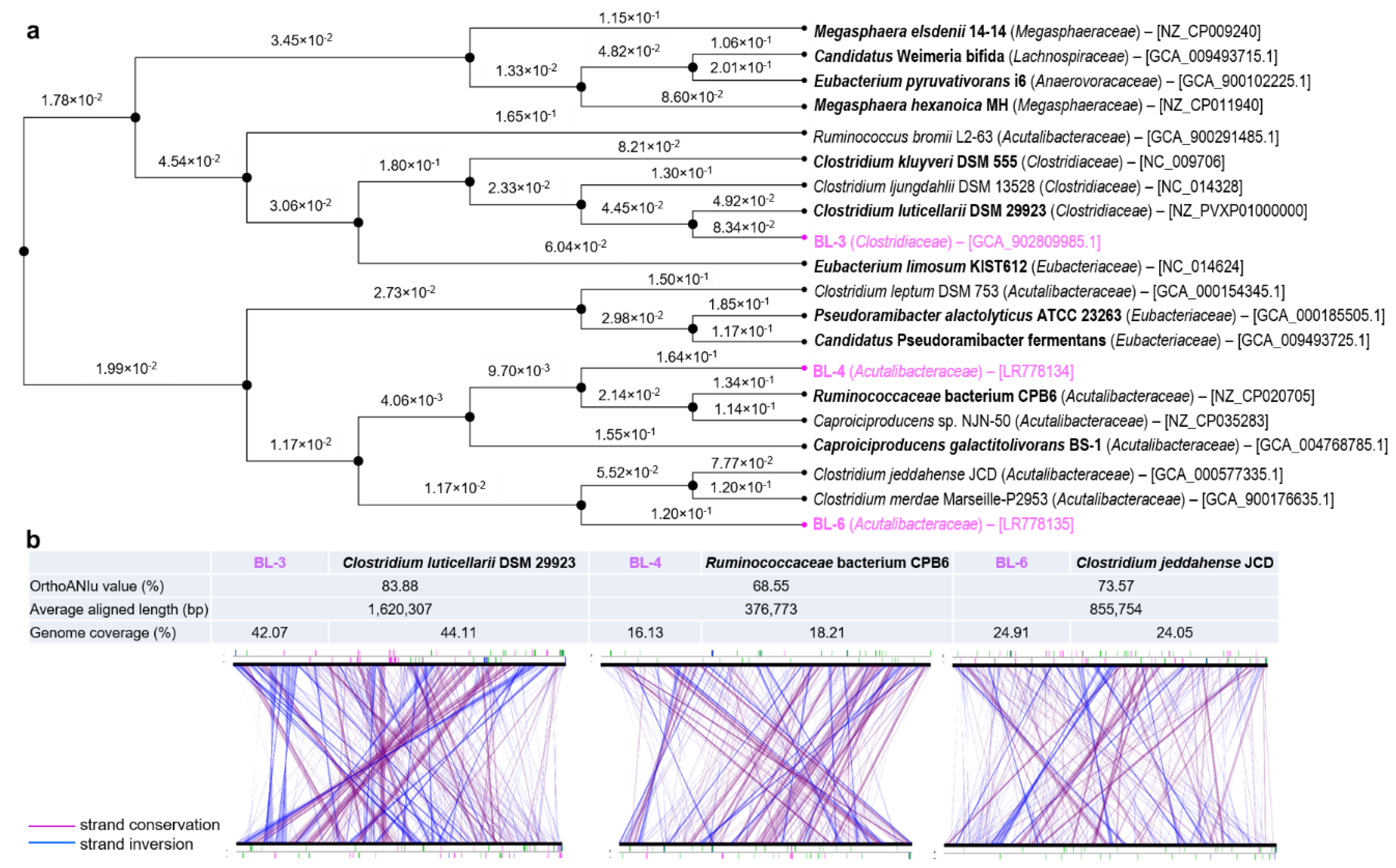 Microorganisms 08 01970 g003