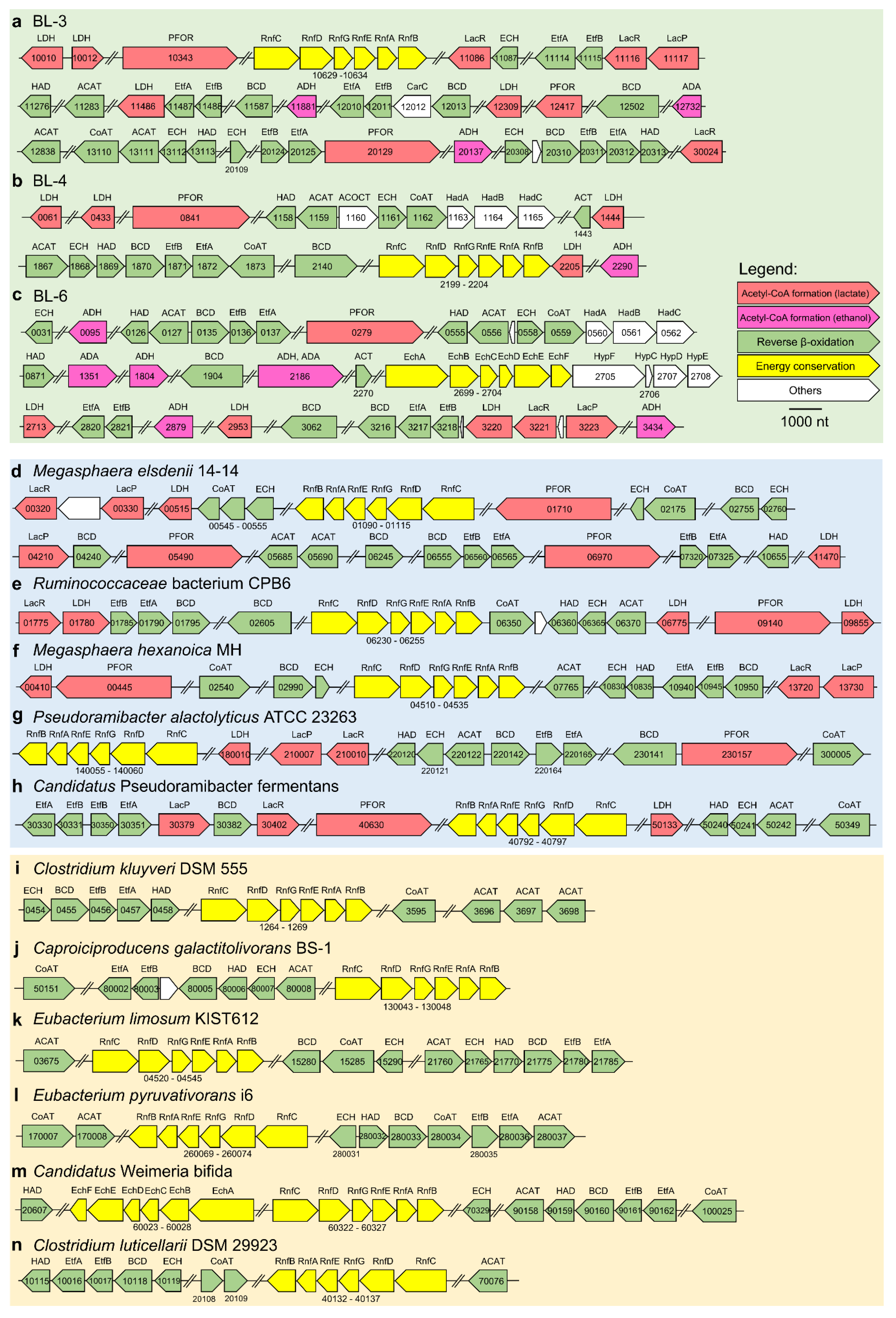 Microorganisms 08 01970 g006