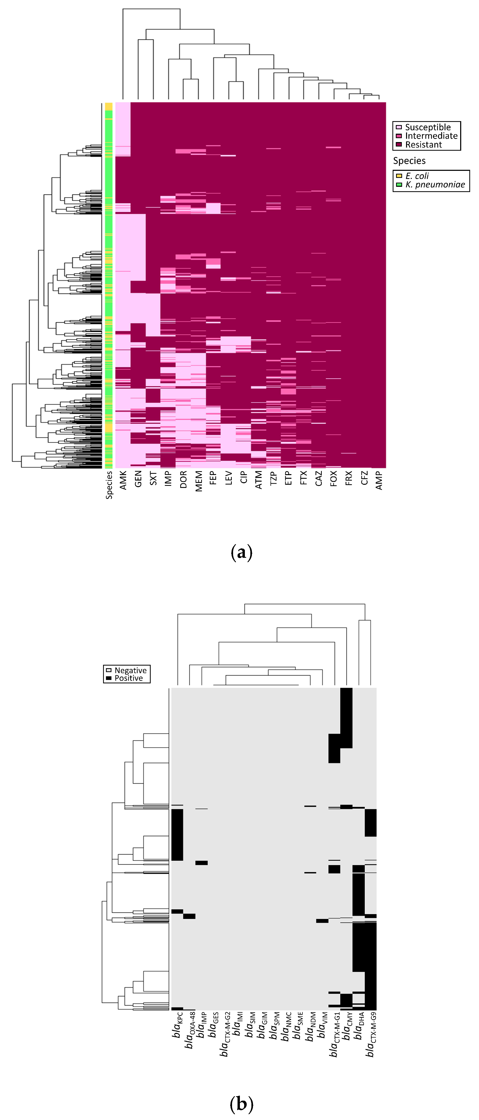 Microorganisms 08 01981 g001