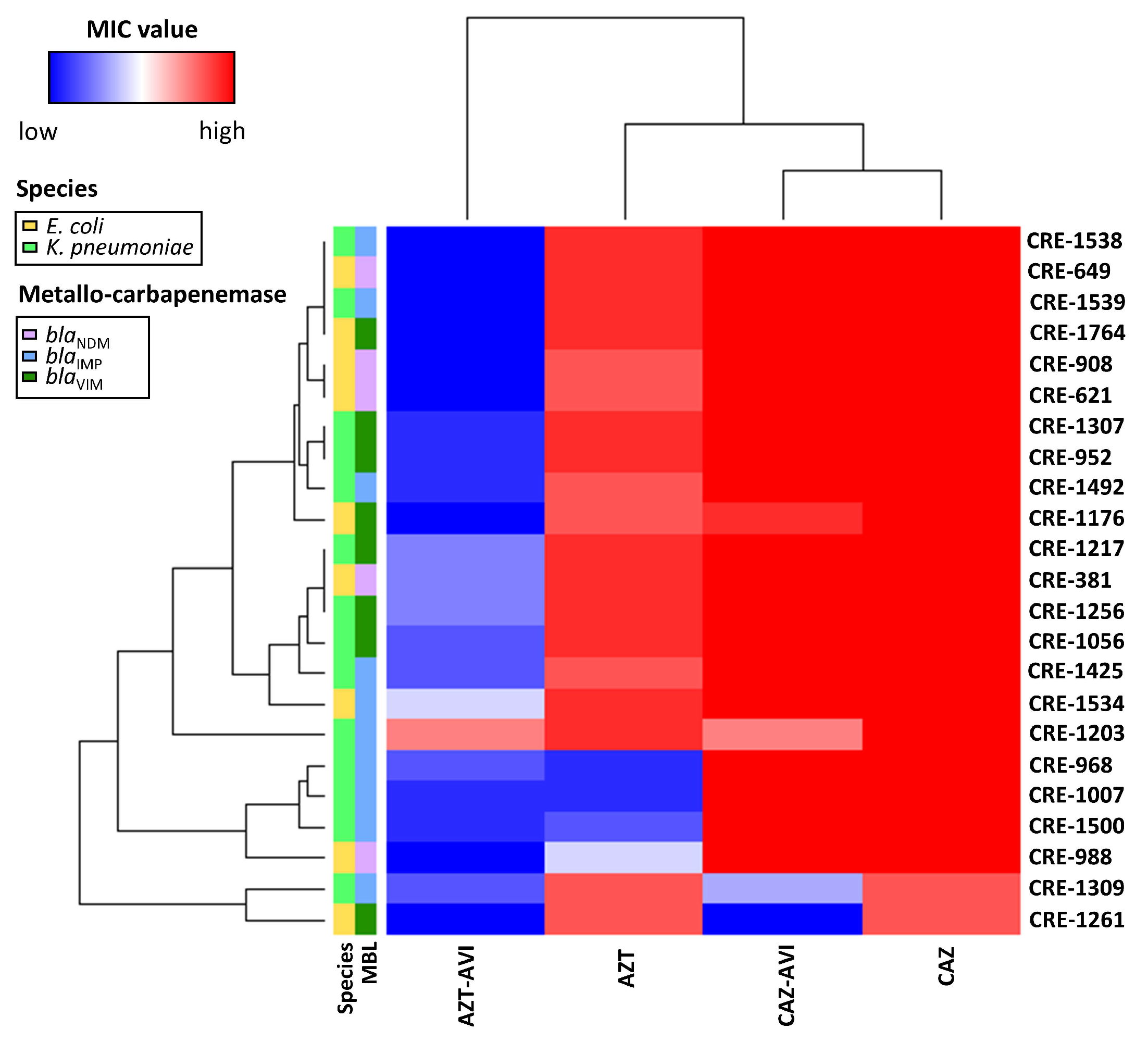 Microorganisms 08 01981 g004
