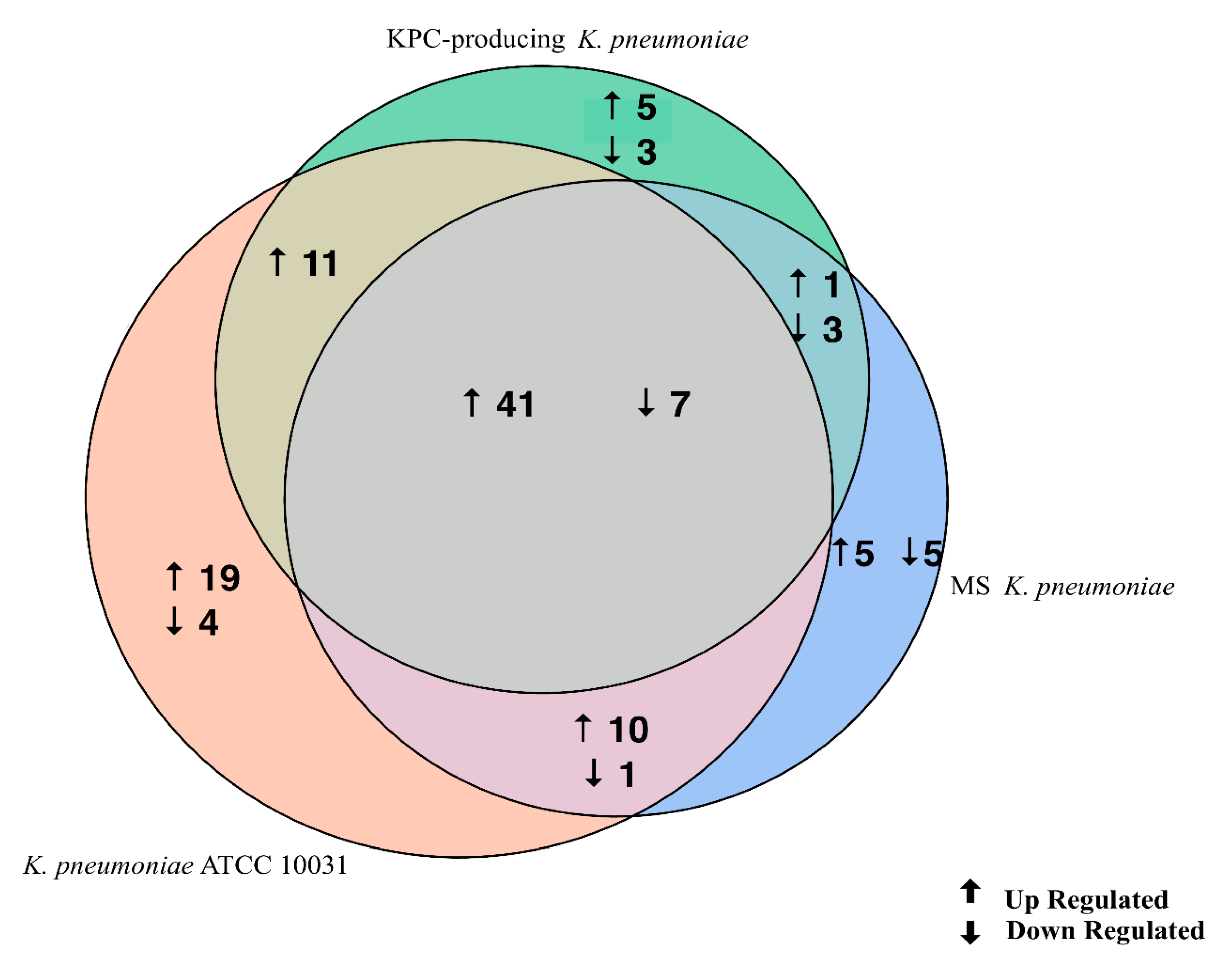 Microorganisms 08 01985 g003