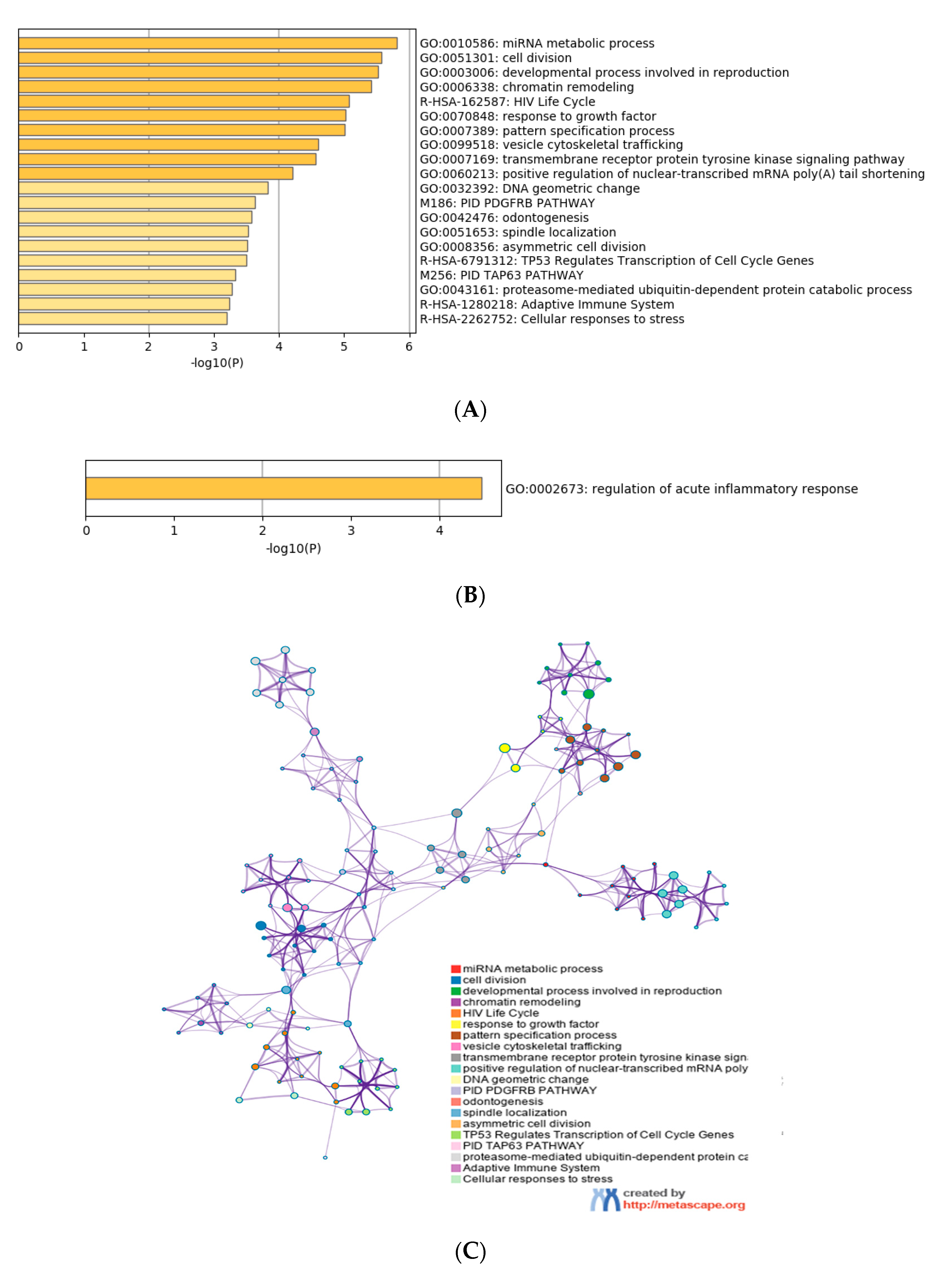 Microorganisms 08 01985 g004
